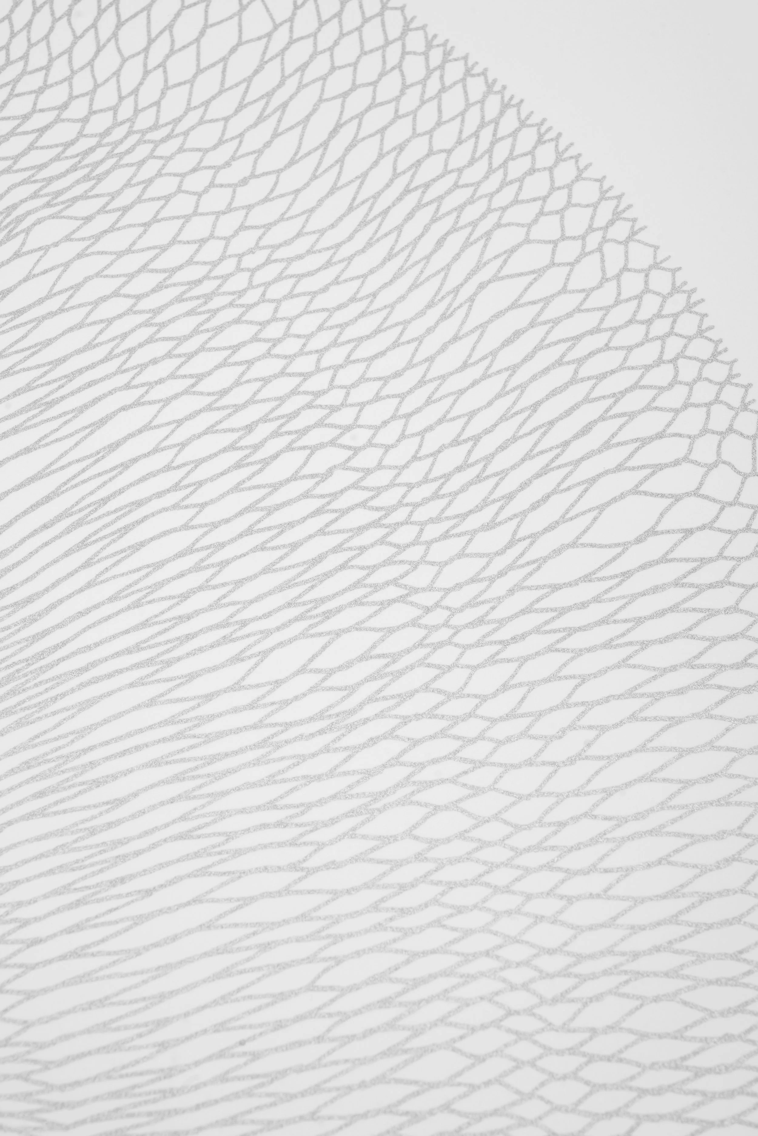 Square Peg_screen print_silver lead_2024 detail 02.JPG