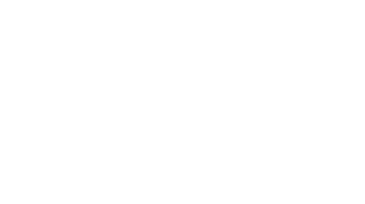 The Hair Loft
