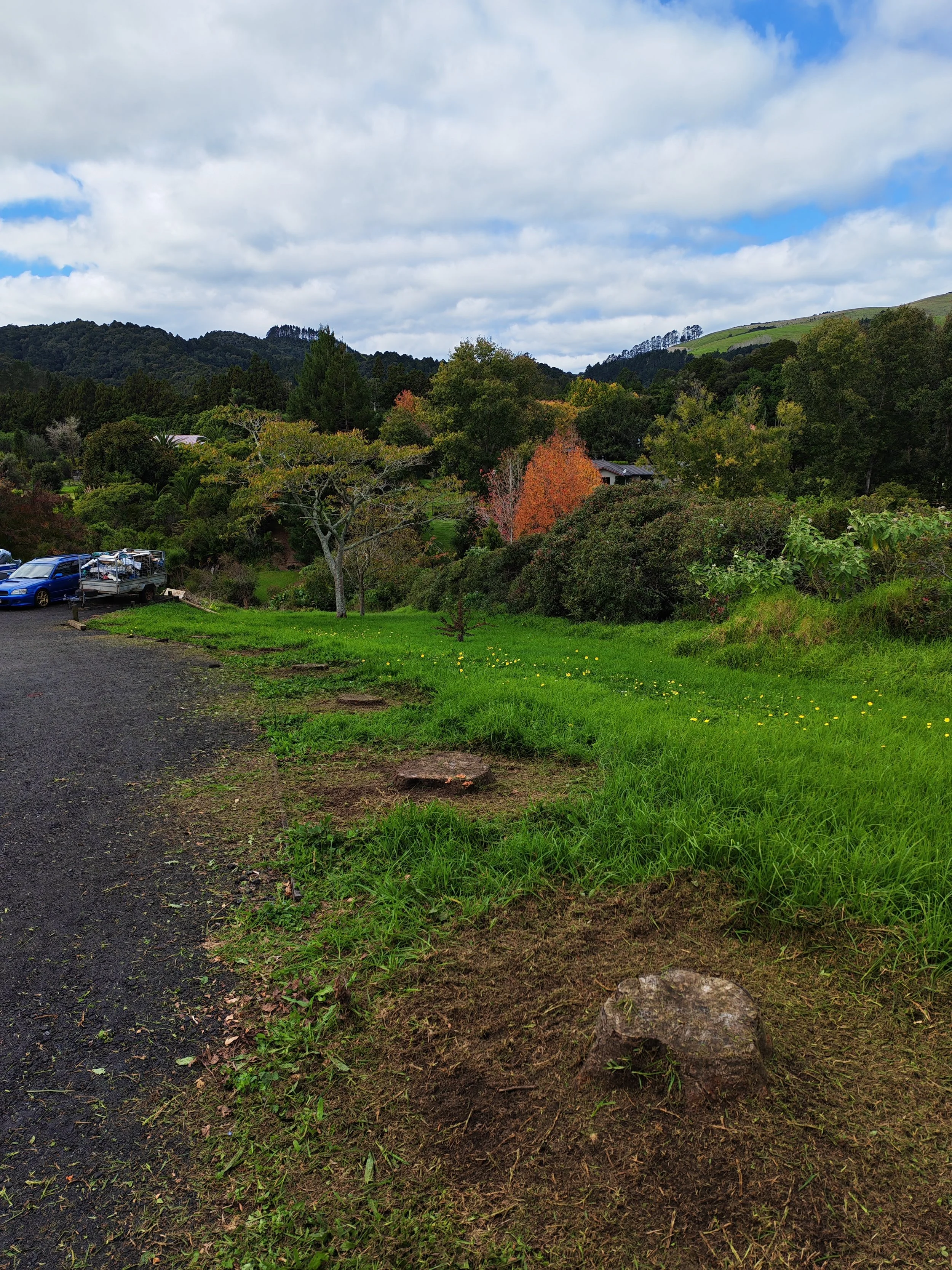A scenic view of a lush green landscape with a small dirt path, a tree with sparse leaves, and houses with green foliage in the background. Rolling hills and a partly cloudy sky are seen in the distance.