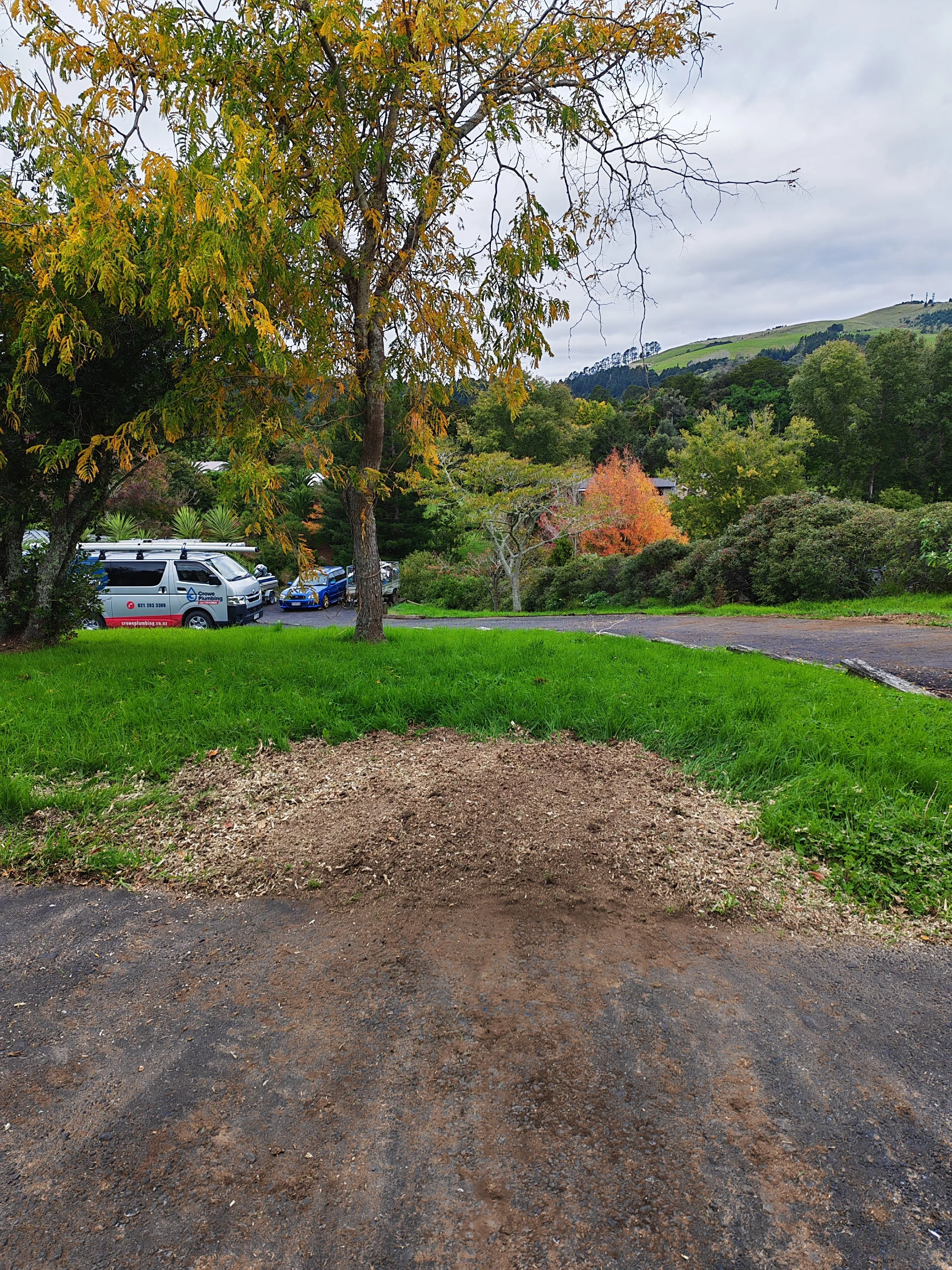 A park scene with a grassy foreground, trees with colorful fall leaves, cars parked along the road, and a hill in the background under a cloudy sky.