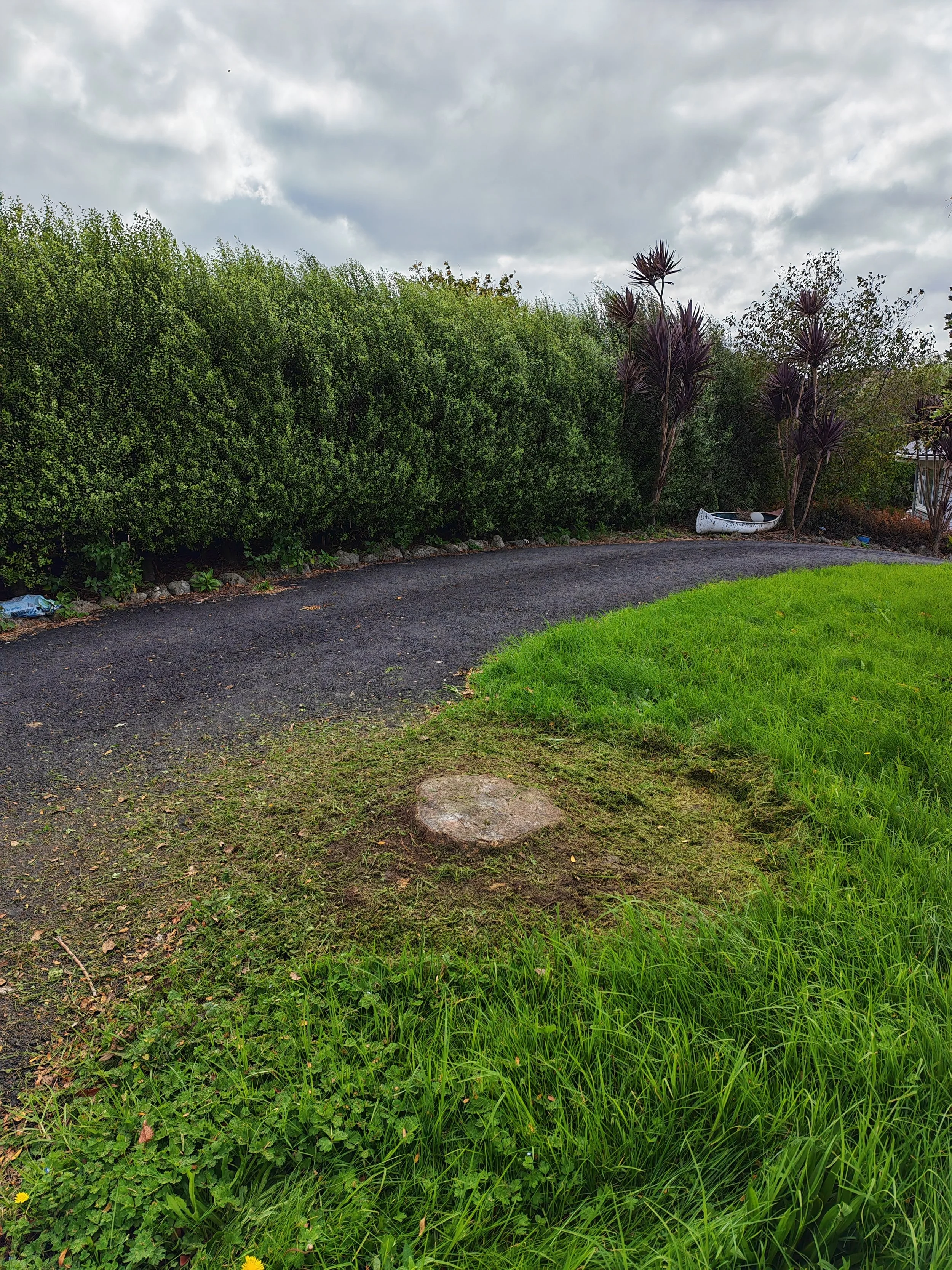 A lush green garden with a paved pathway, tall bushes on the left, purple-leaved plants on the right, and a boat lying on the ground near the bushes. Overcast sky with clouds overhead.