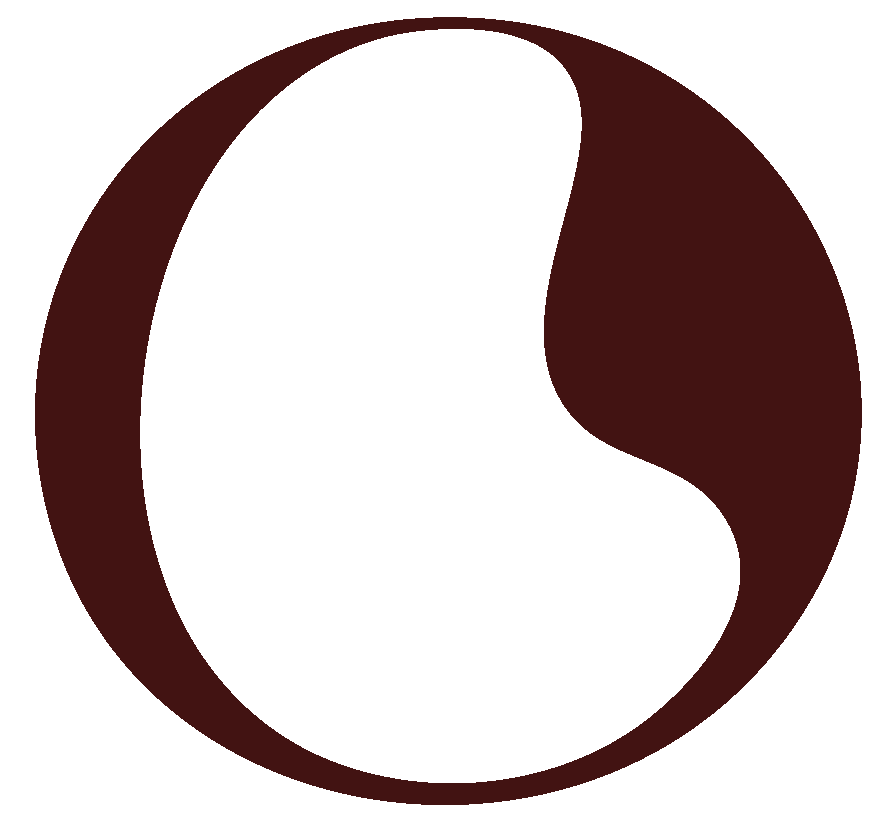 CLO Studio