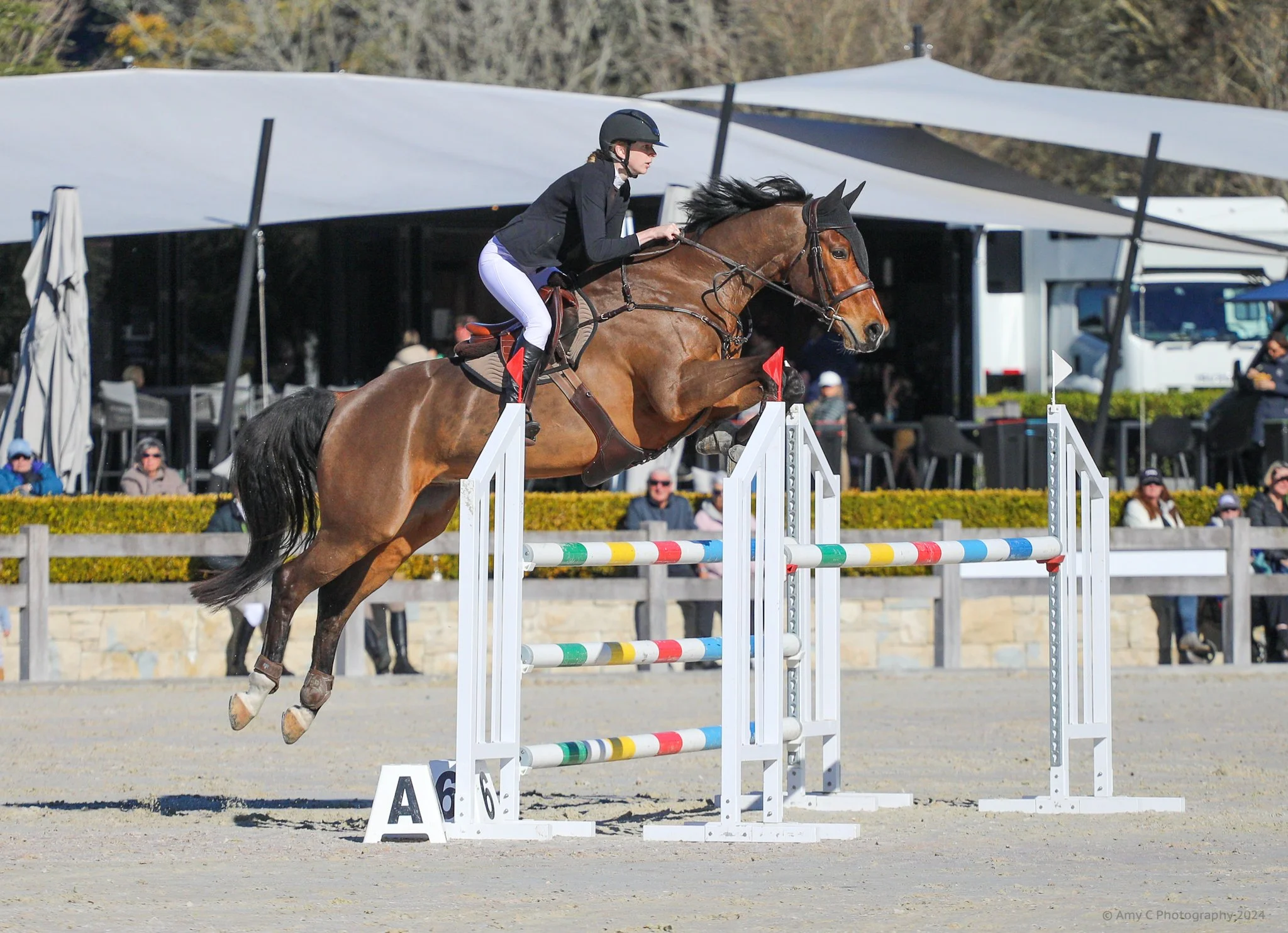 A female equestrian riding a horse over a jump in an outdoor show jumping competition on a sunny day, spectators in the background.