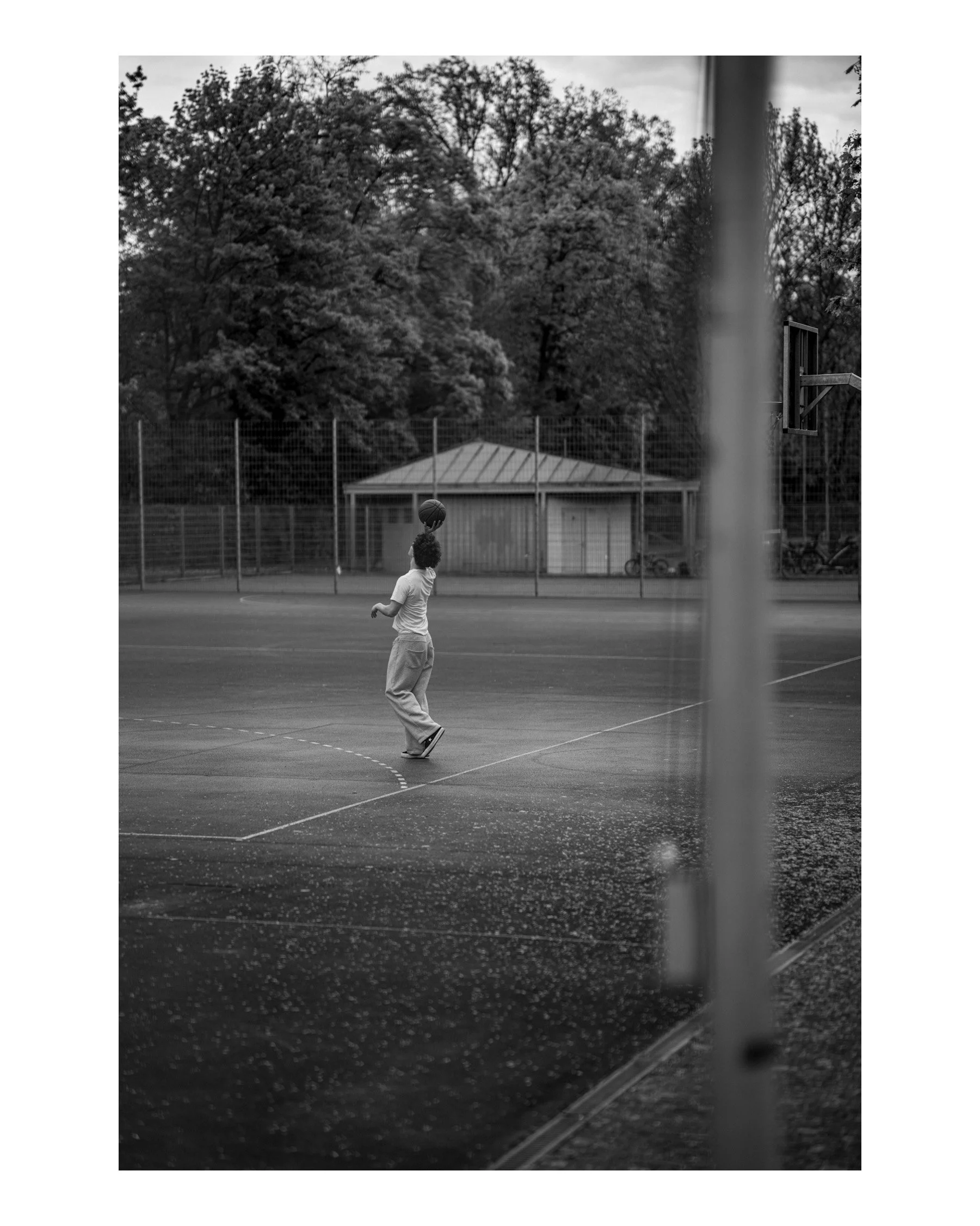 Max - Landau - Basketball