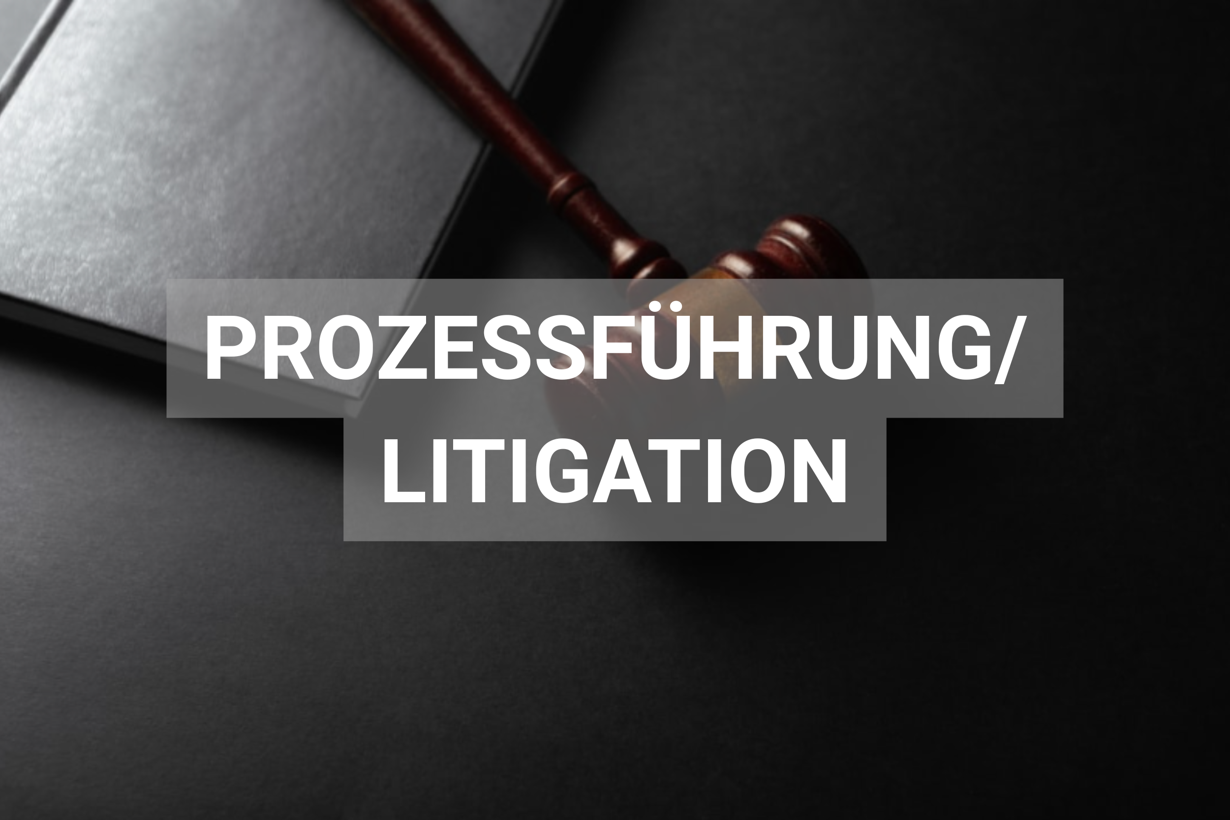Prozessführung/  Litigation