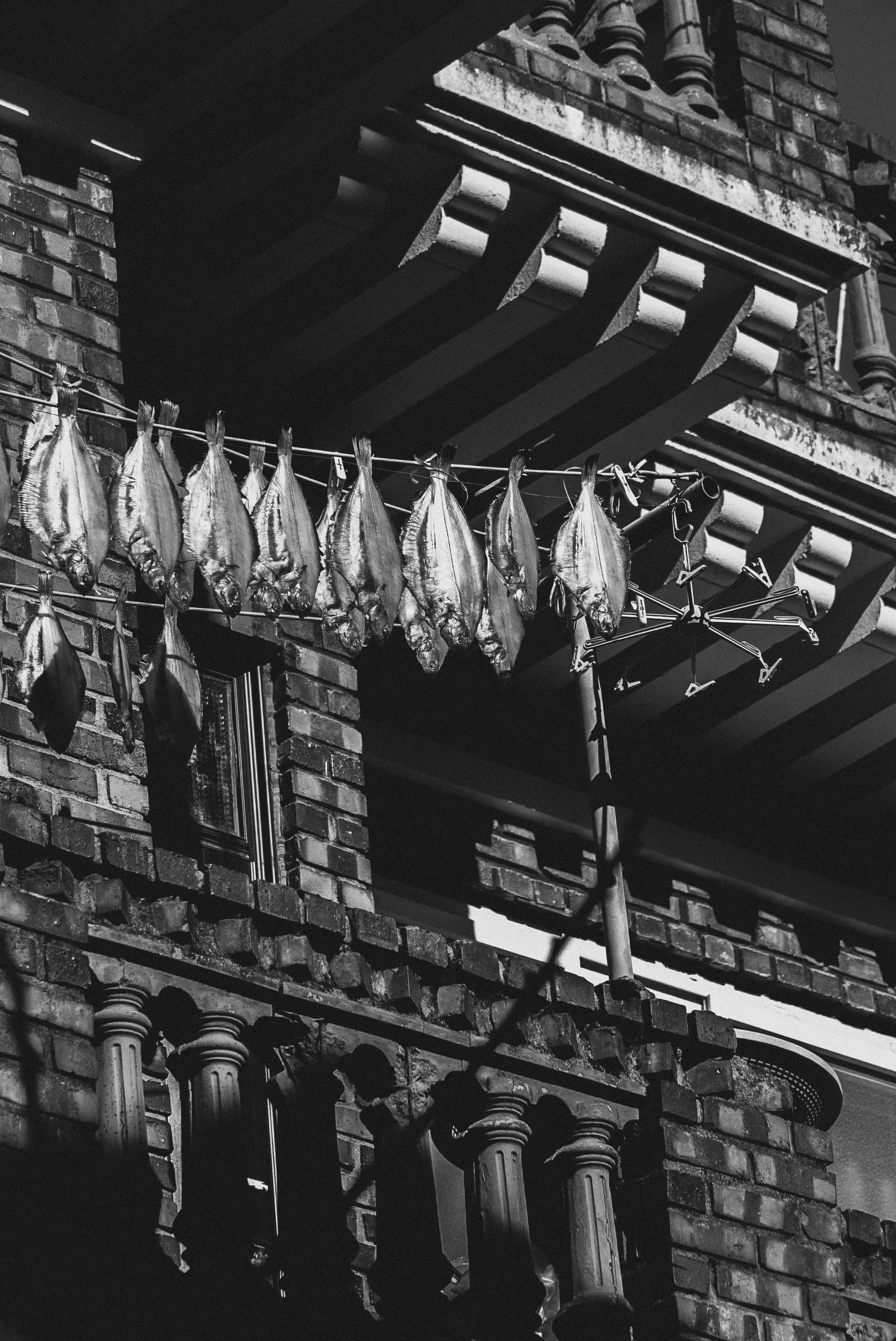 Black and white photo of dried fish hanging on a clothesline outside a brick building with a window, under a small roof or awning.
