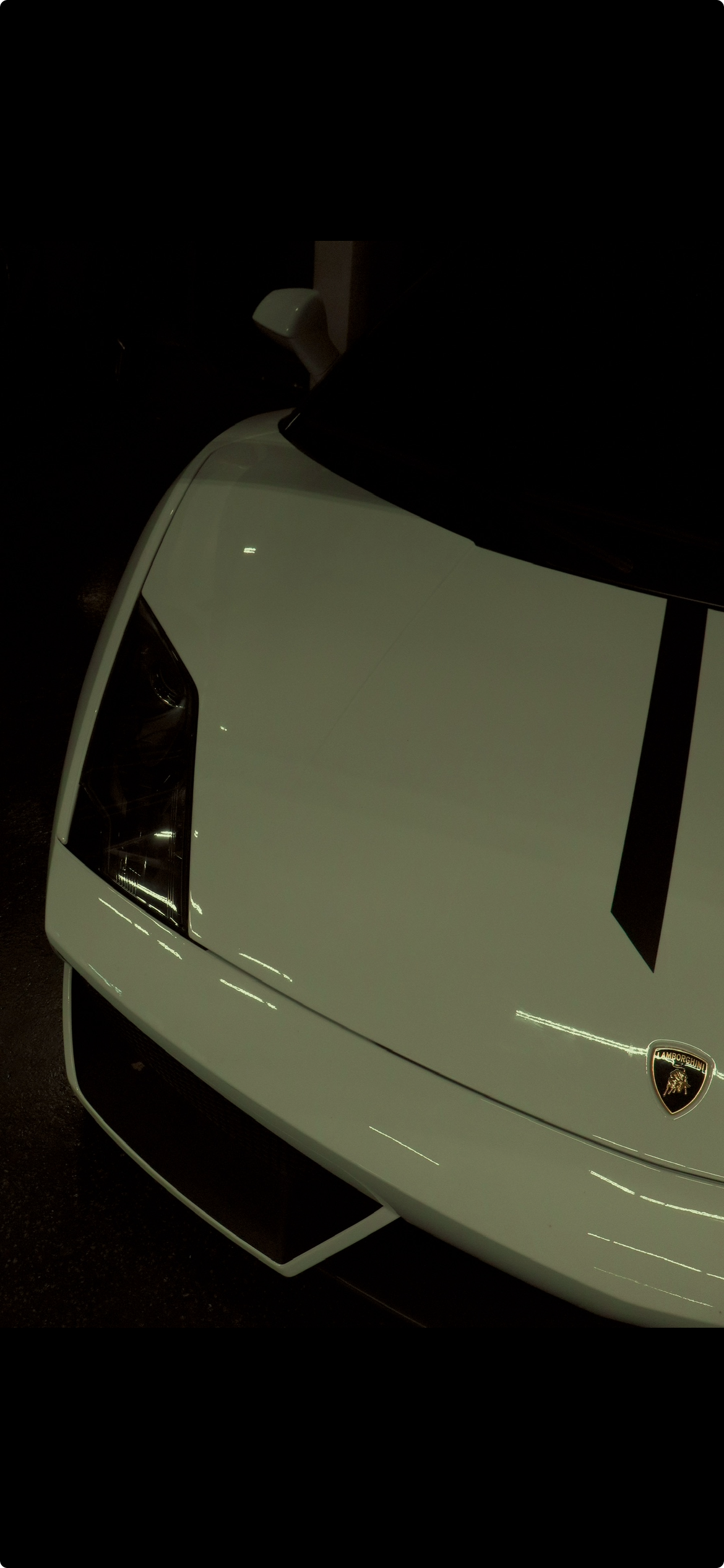Close-up of white Lamborghini sports car with black stripe on hood and Lamborghini emblem, parked at night.