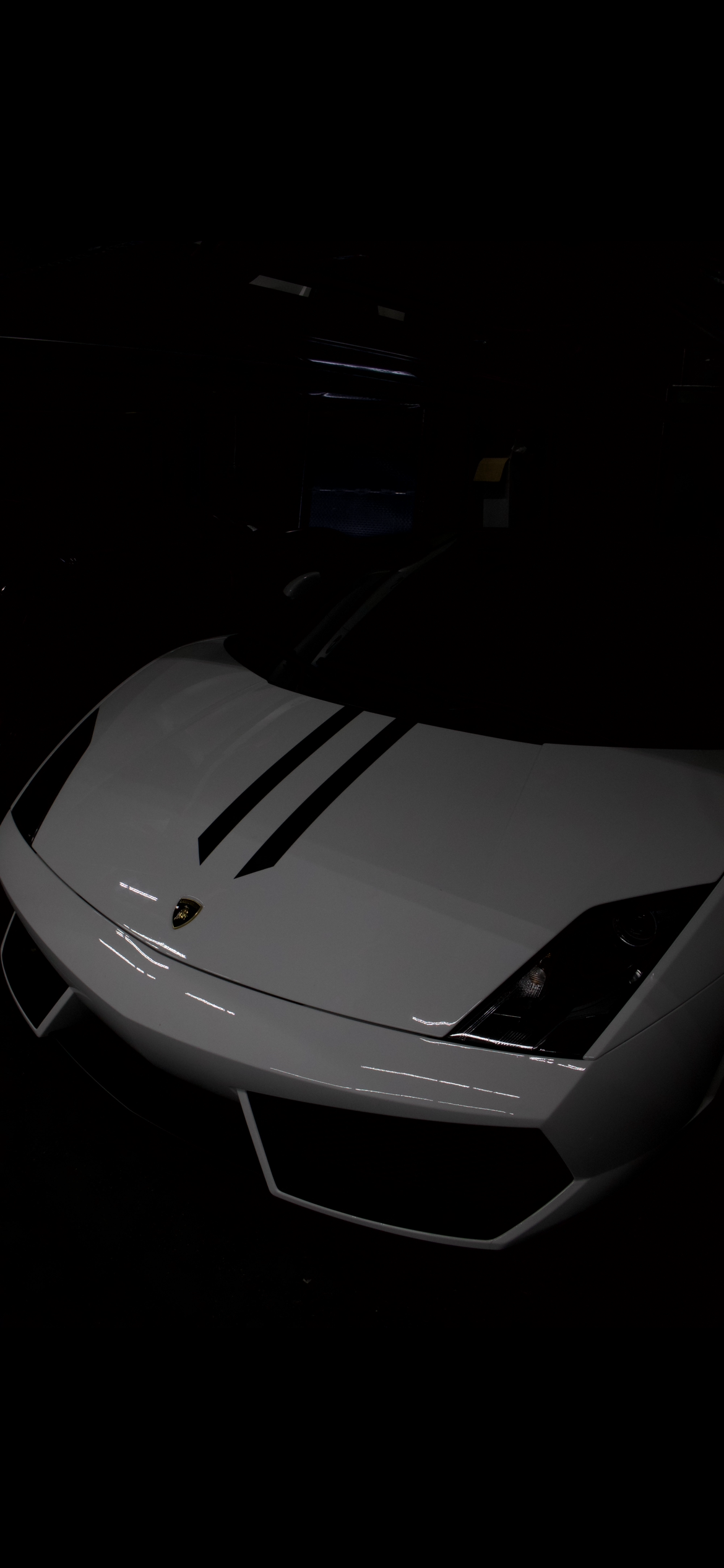 A white Lamborghini sports car with black racing stripes on its hood, displayed in a dark showroom.