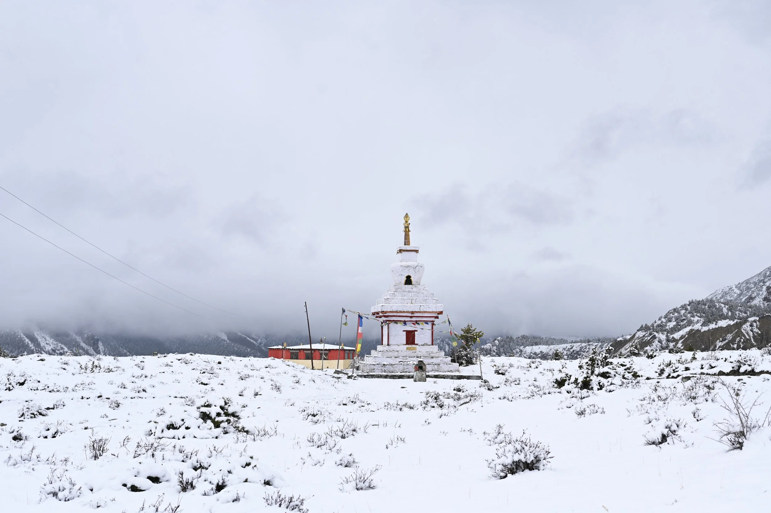 DSC_1275.JPG