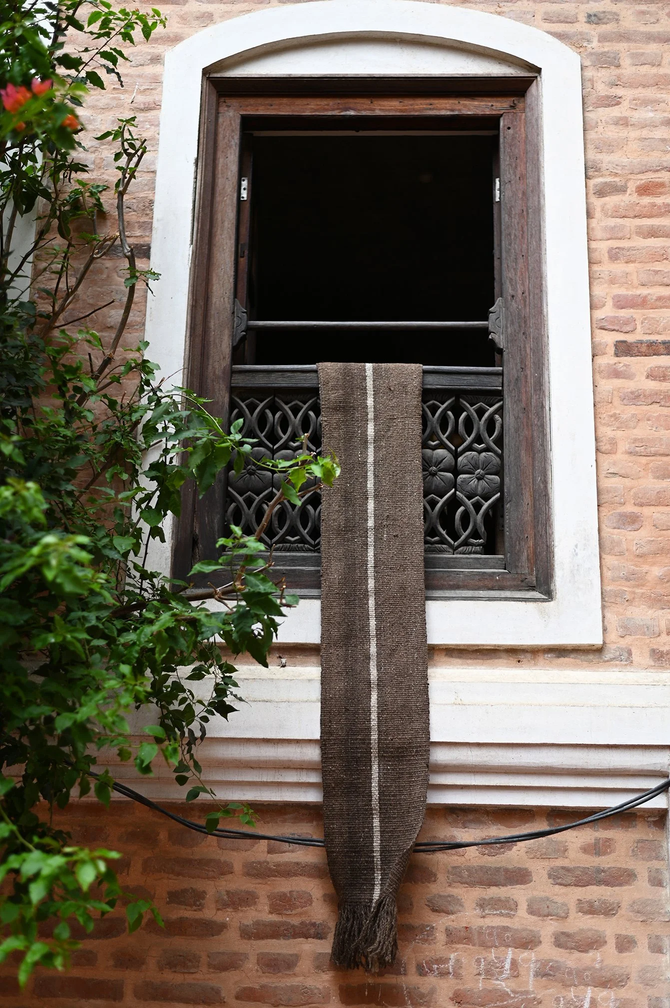 DSC_2918.JPG