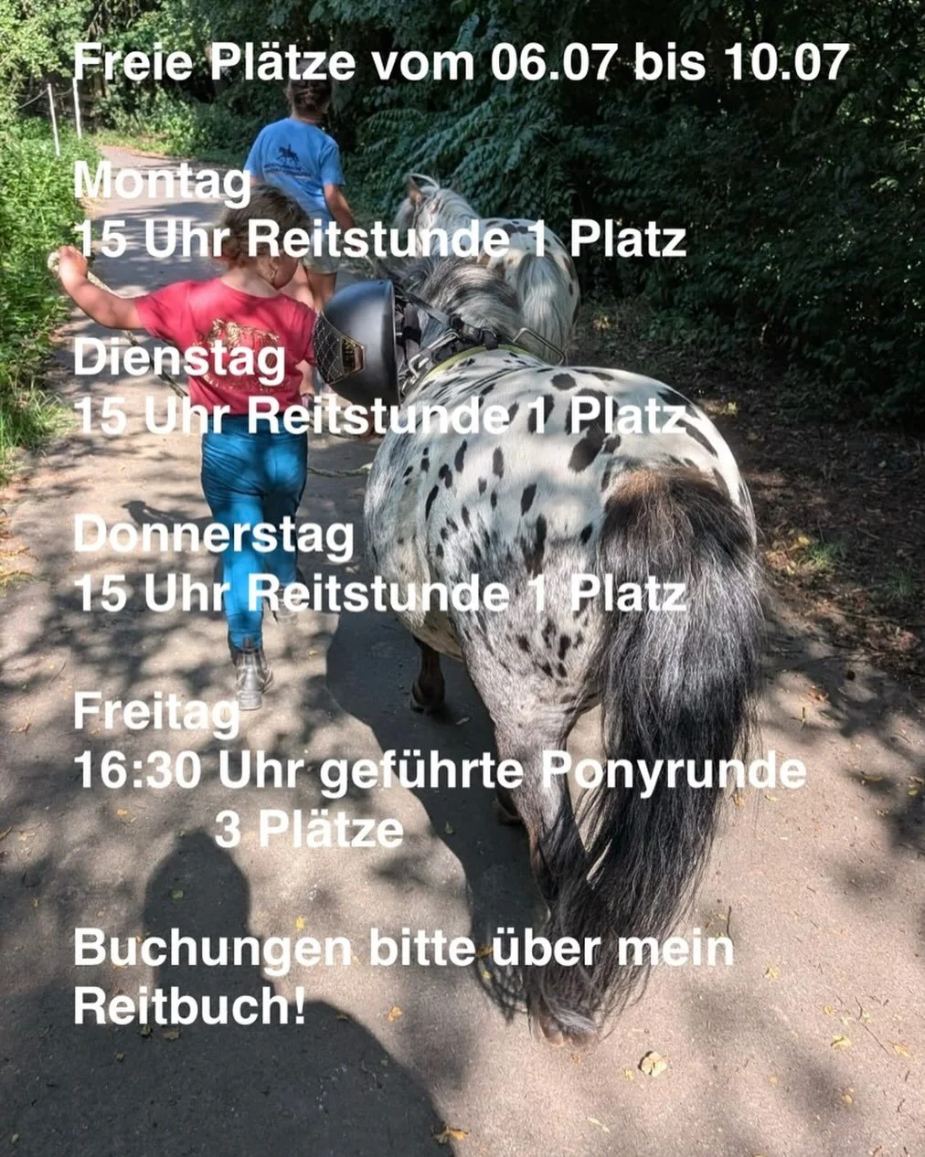 https://ponyreitschule-daniela-maier.reitbuch.com/weekplan.php
