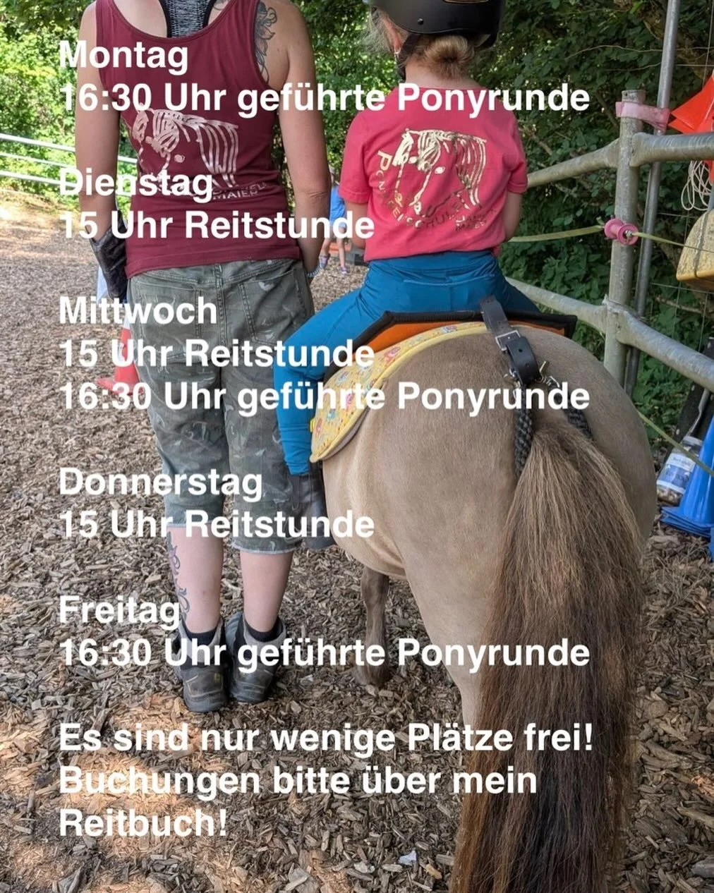 https://ponyreitschule-daniela-maier.reitbuch.com/weekplan.php