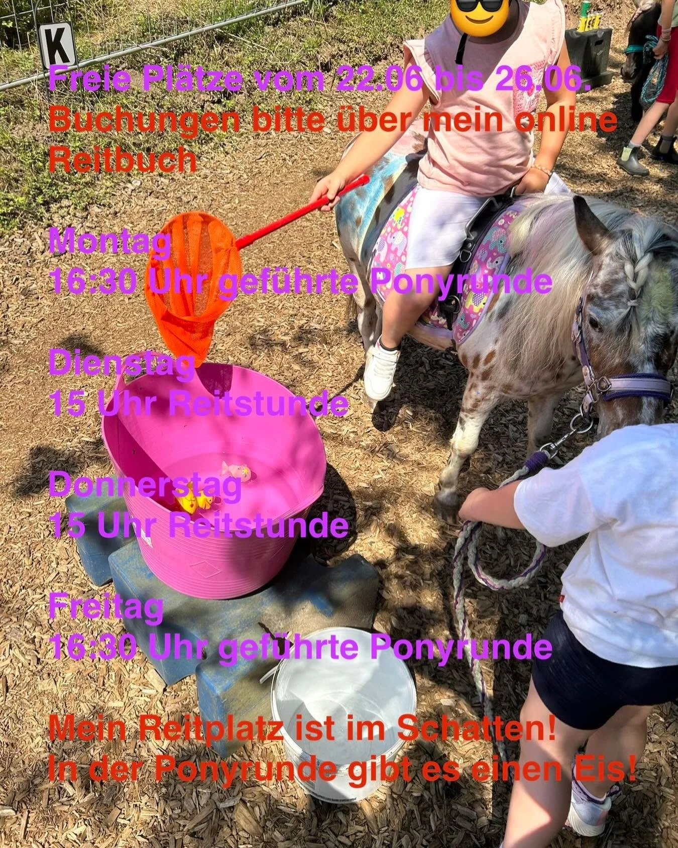 https://ponyreitschule-daniela-maier.reitbuch.com/weekplan.php