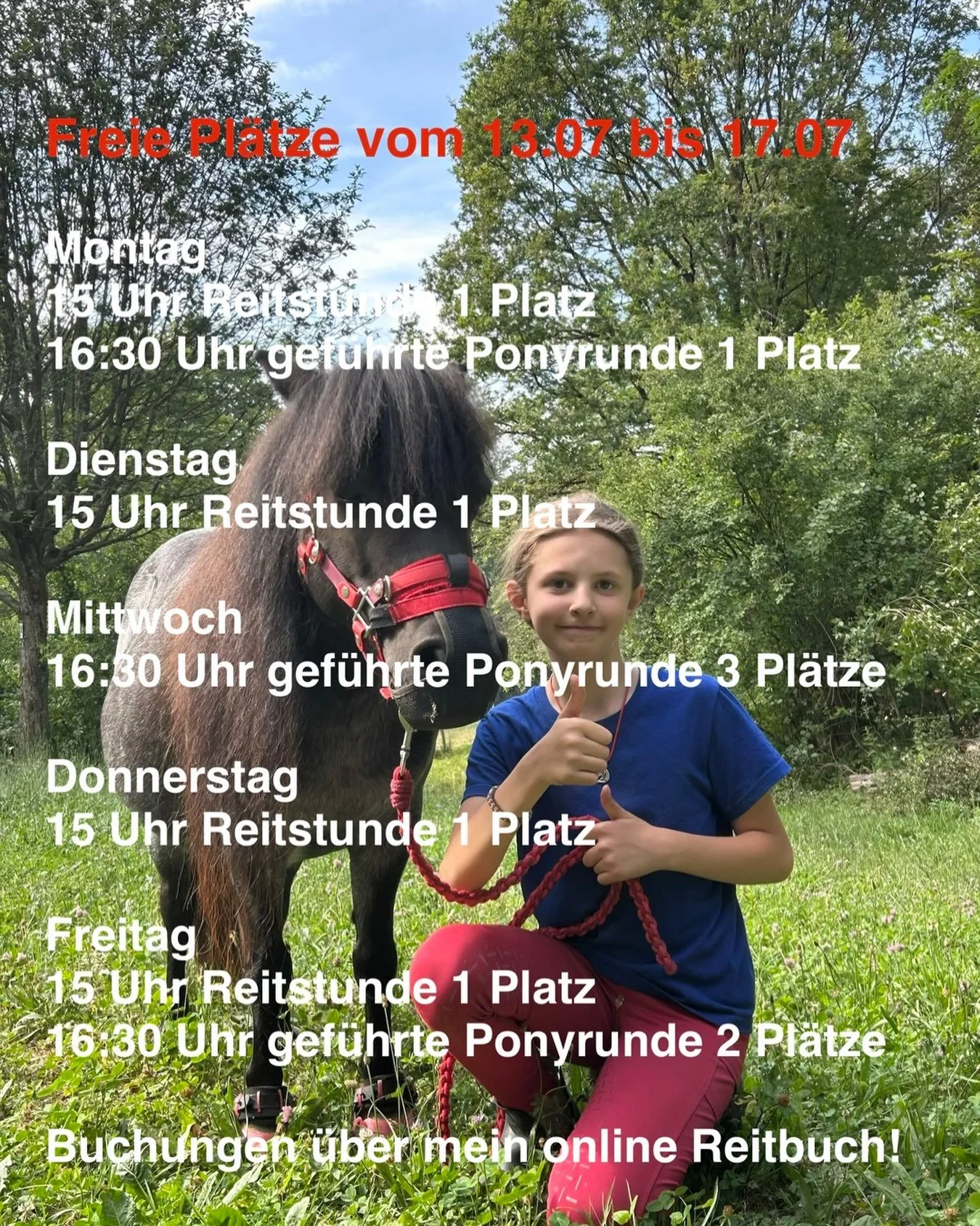 https://ponyreitschule-daniela-maier.reitbuch.com/weekplan.php