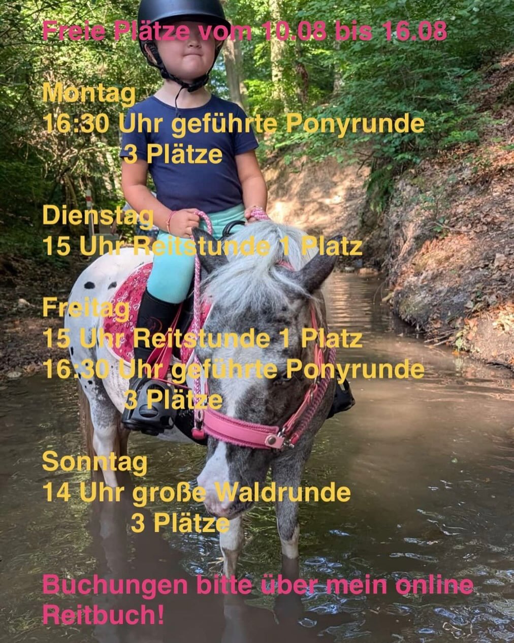 Betriebsferien vom 17.08 bis 30.08!