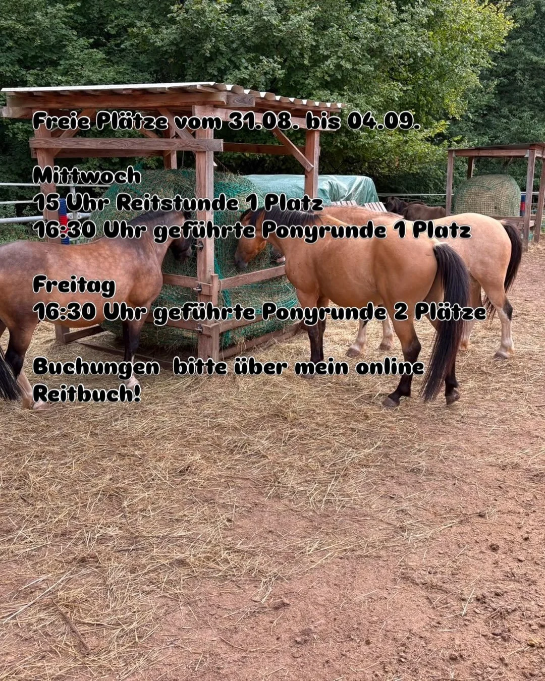 https://ponyreitschule-daniela-maier.reitbuch.com/weekplan.php