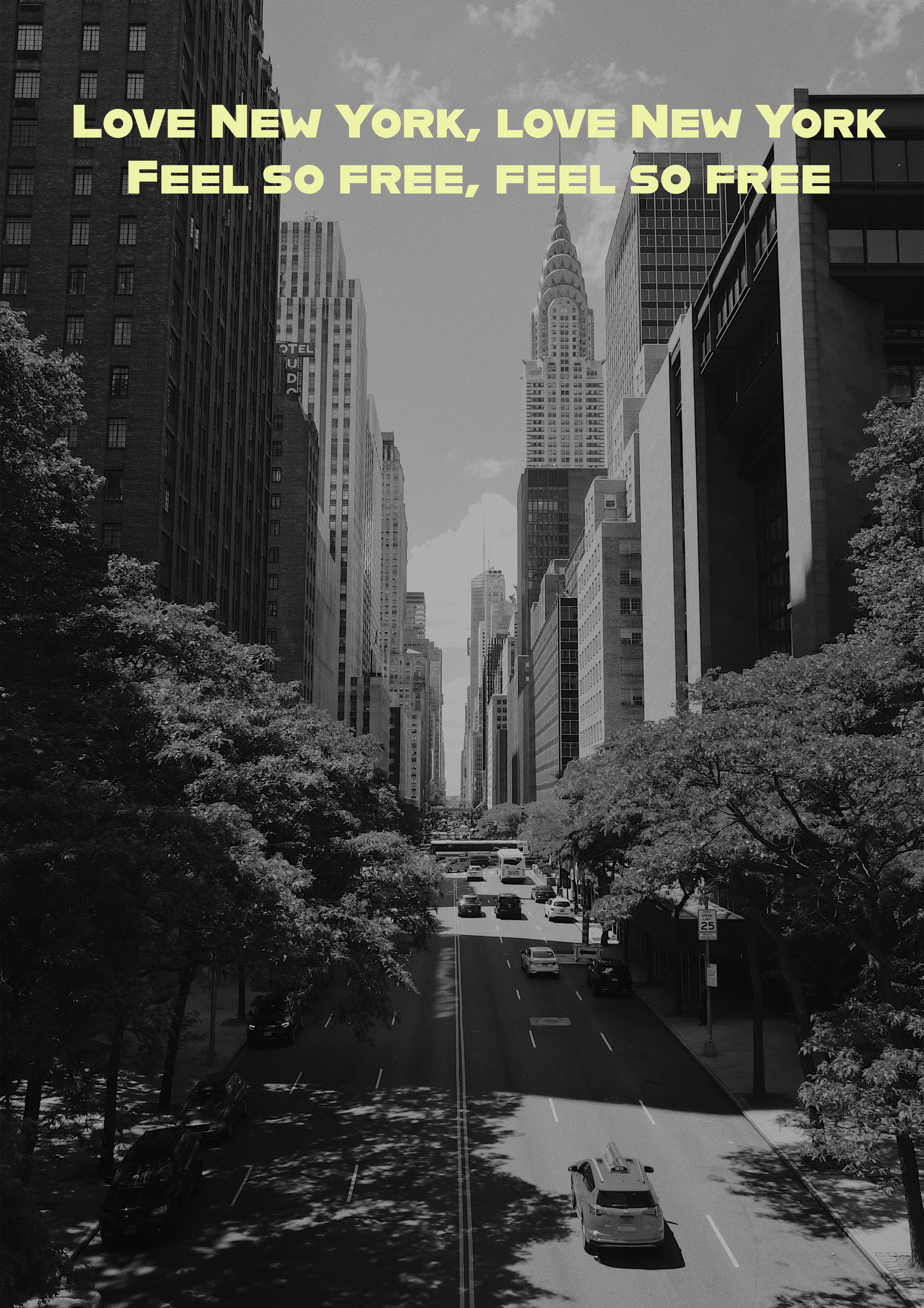 New-york-poster.png
