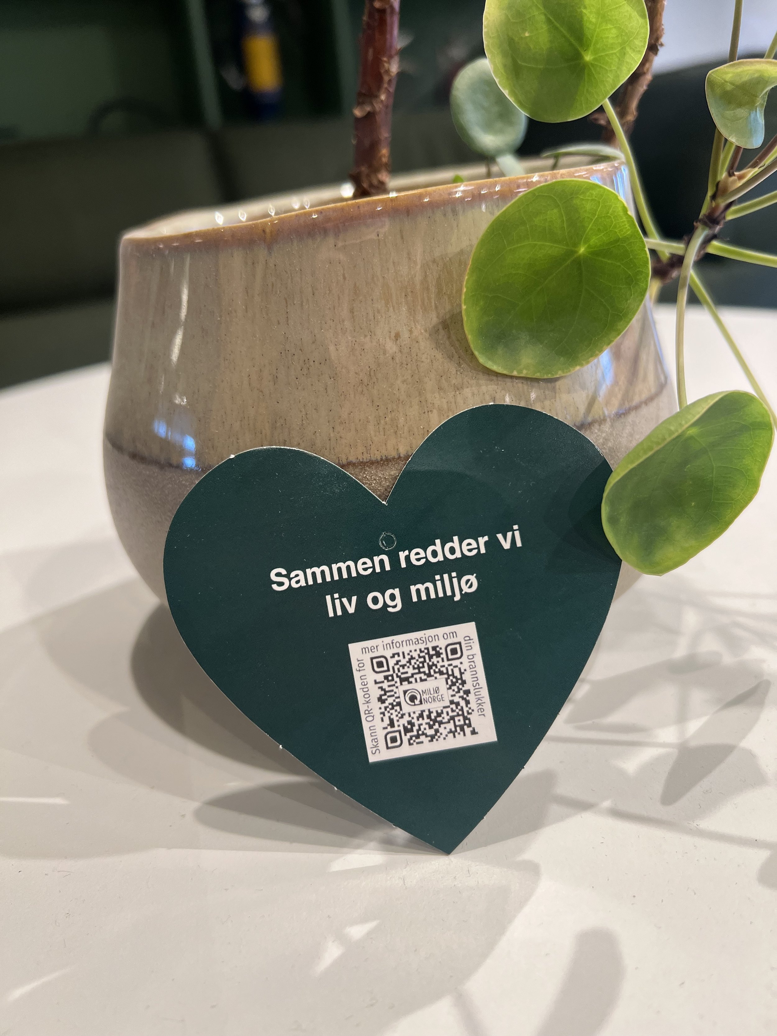 Produkt- og miljøbilde av baksiden av “Hjerte”.