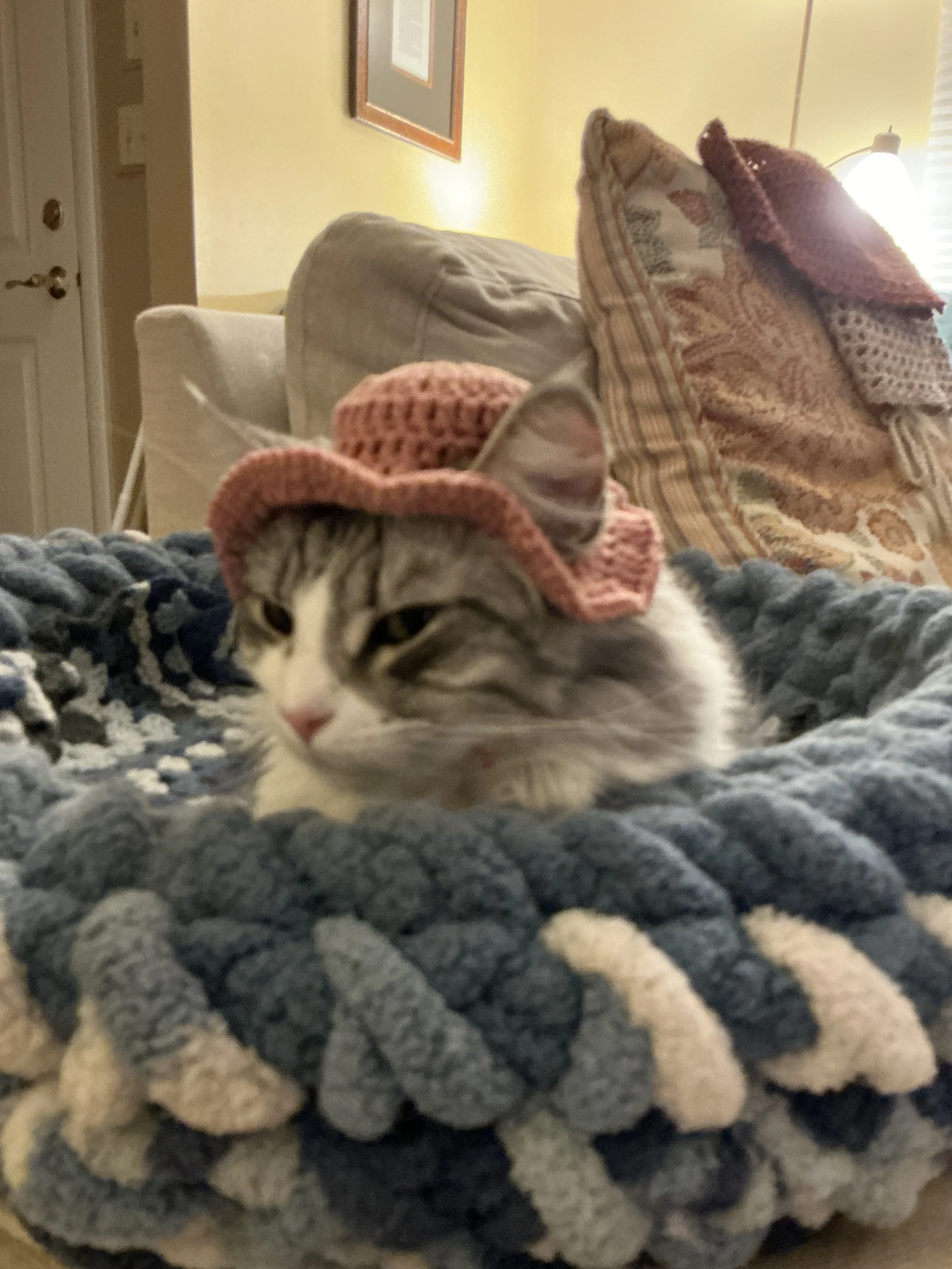 IMG_0017.jpeg