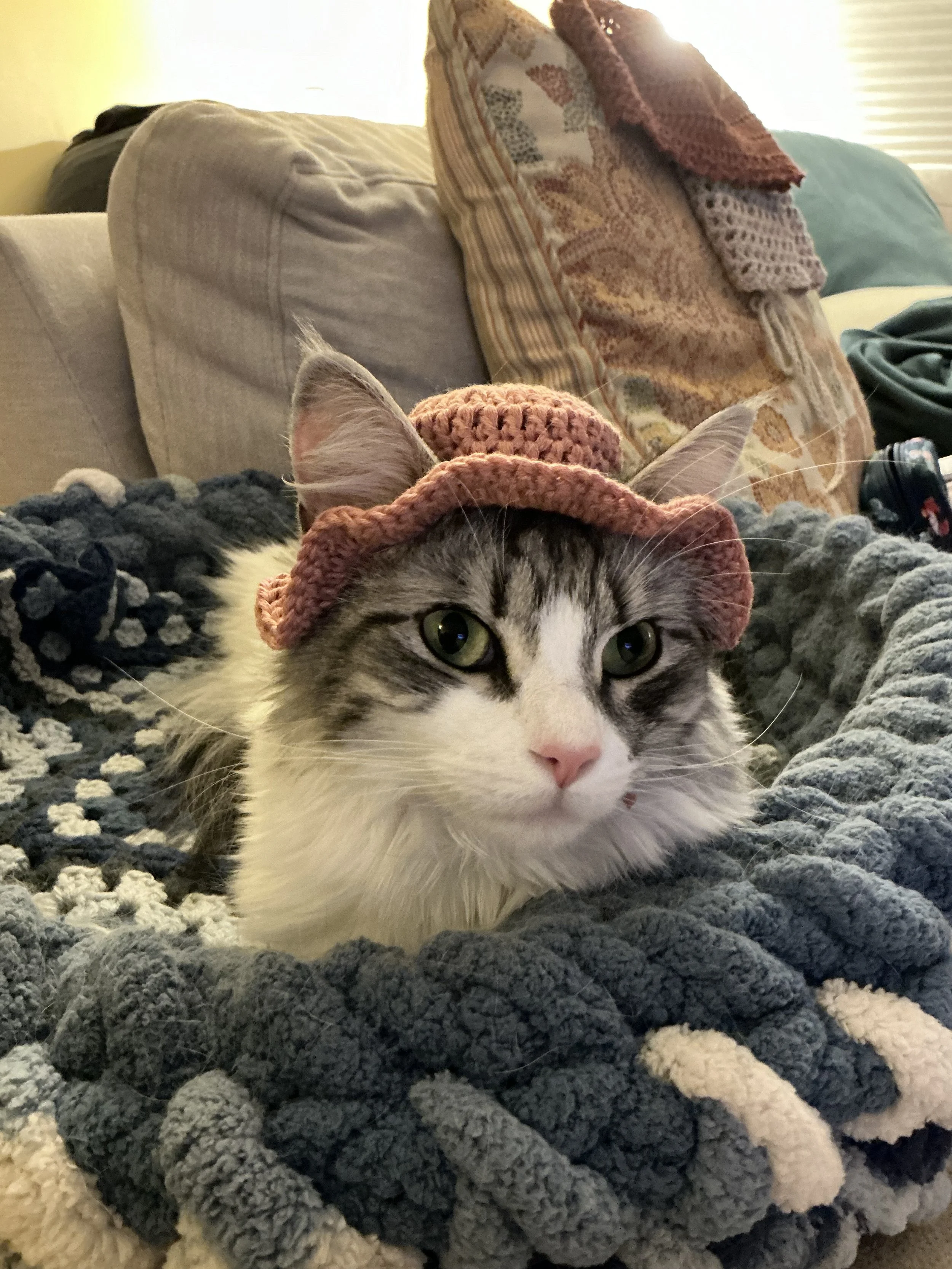 IMG_0030.jpeg