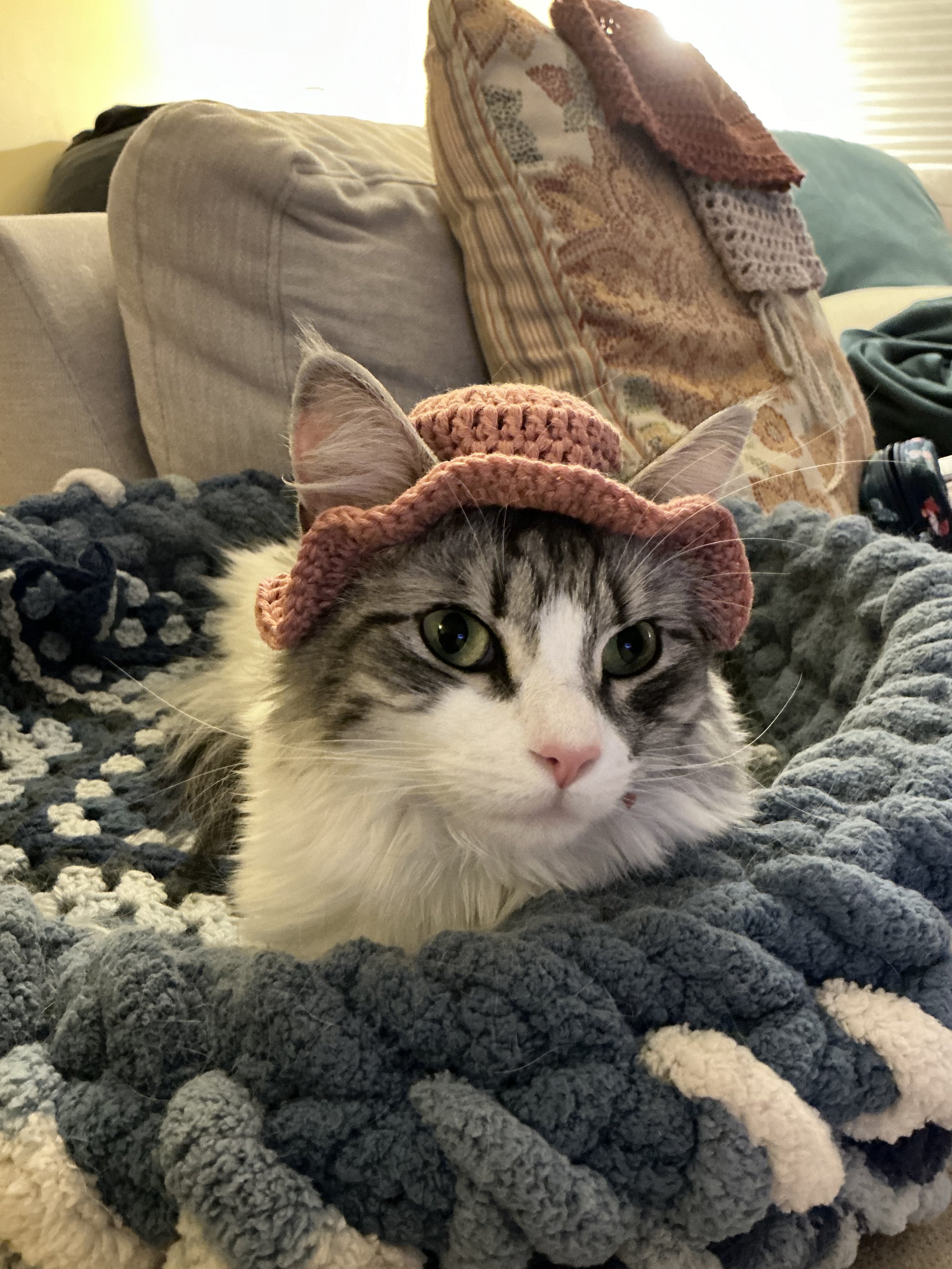 IMG_0030.jpeg