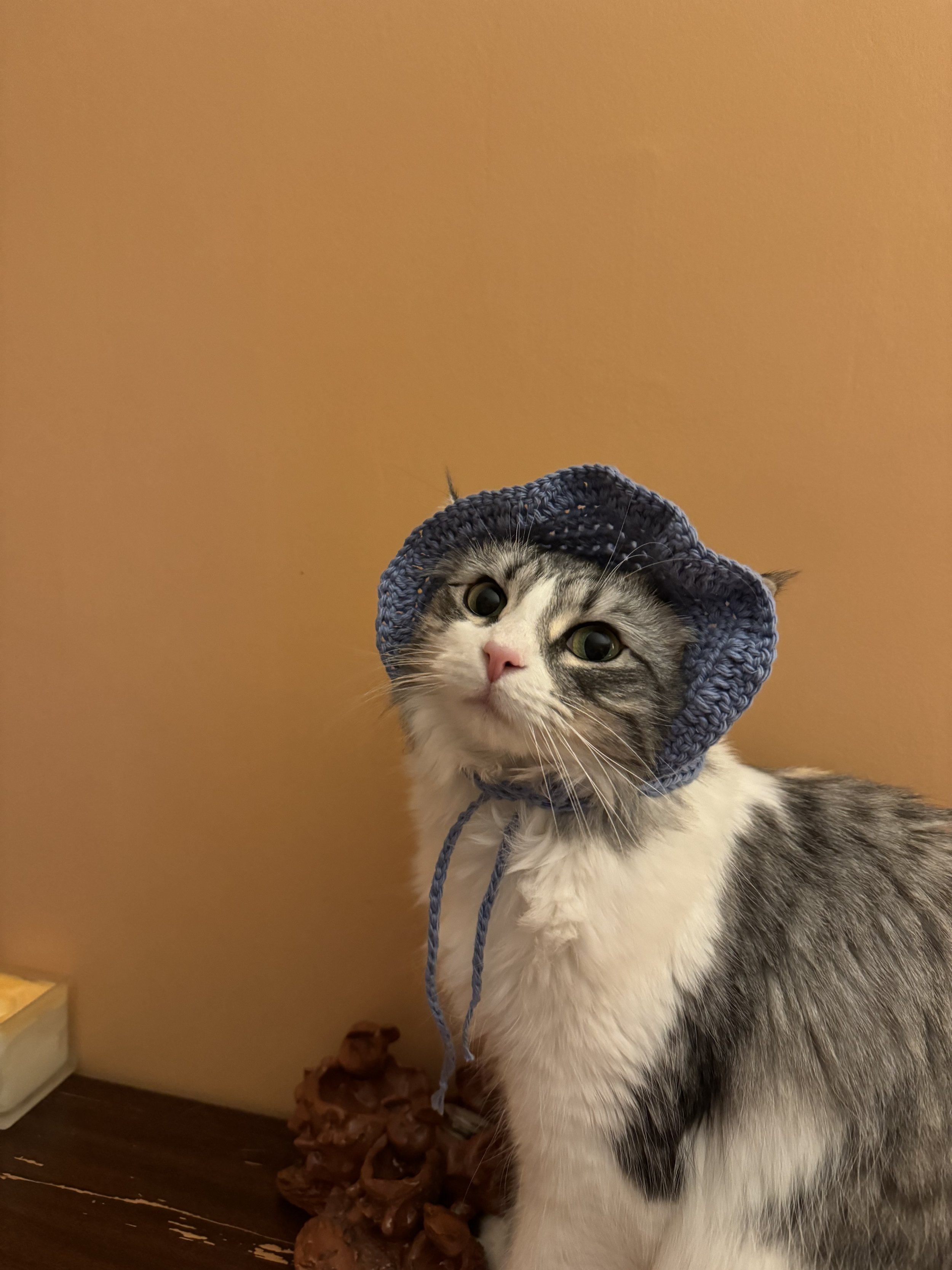 IMG_3601.jpeg