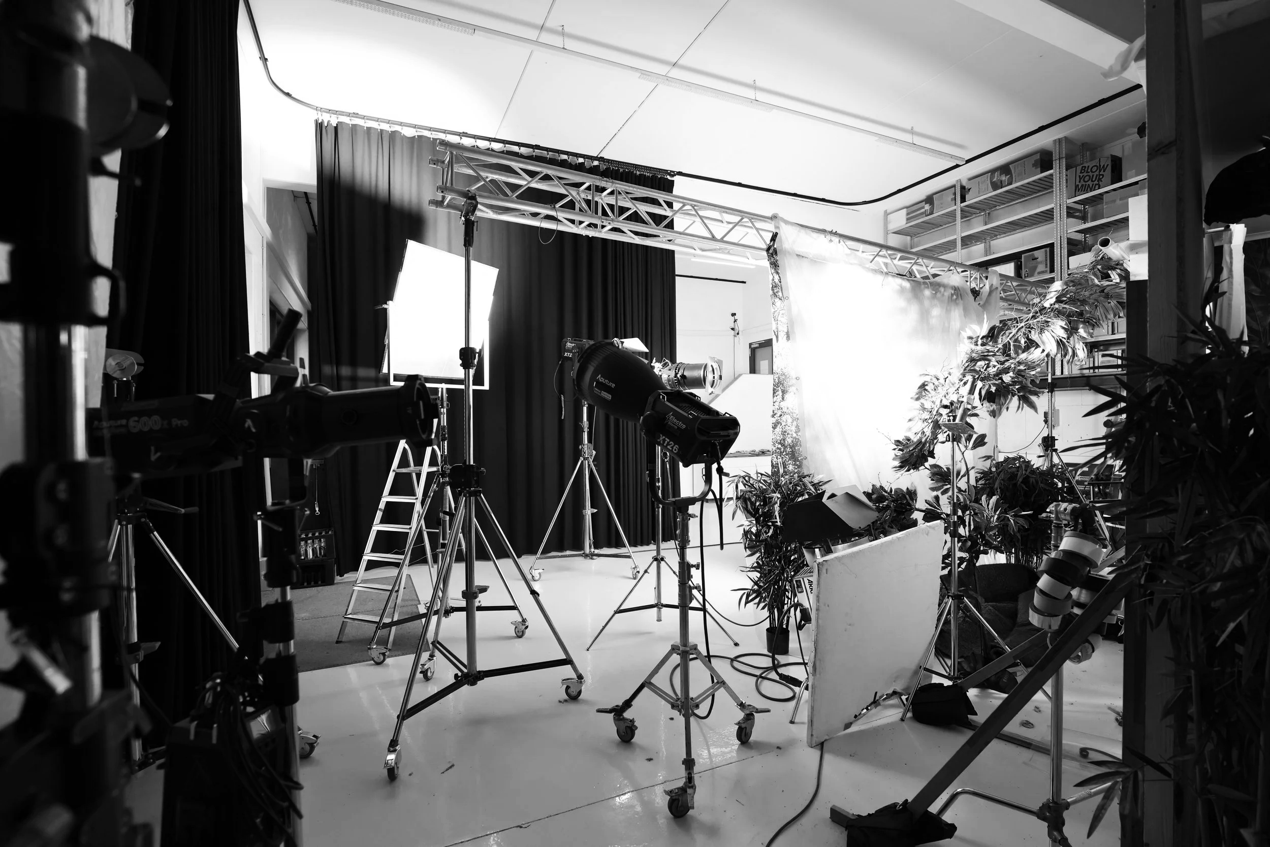 Fotostudio mit Kameraausrüstung, Lichtquellen, Beleuchtungsständern, Vorhängen und Pflanzen, für Fotoshootings eingerichtet.