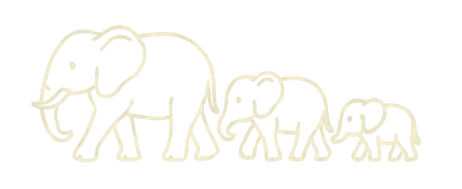 Line drawing of three elephants, from large to small, on a black background.