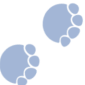Two light blue elephant footprints