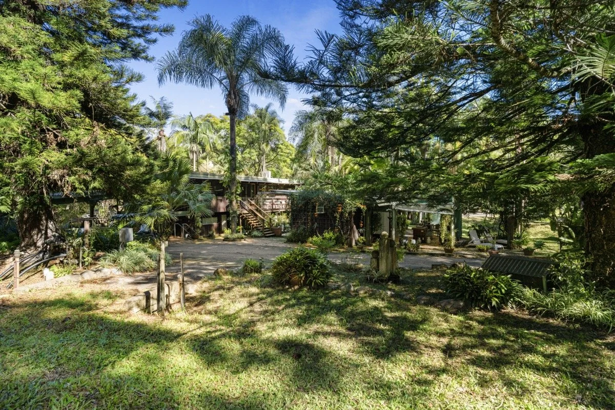 A lush garden scene with various trees and plants, including palm trees, next to a house with a wooden staircase, under a bright blue sky.