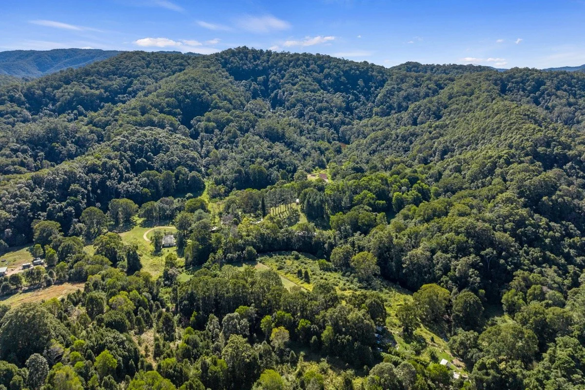 Aerial view of a lush, green forested mountain landscape with some houses and cleared areas visible among the densely wooded hills.