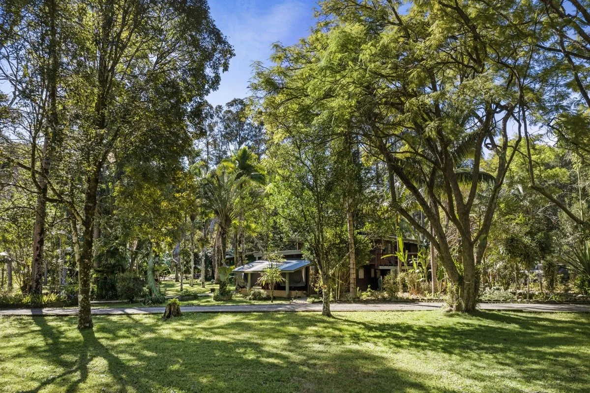 A lush, green park with tall trees, a grassy lawn, and a few buildings in the background under a blue sky.