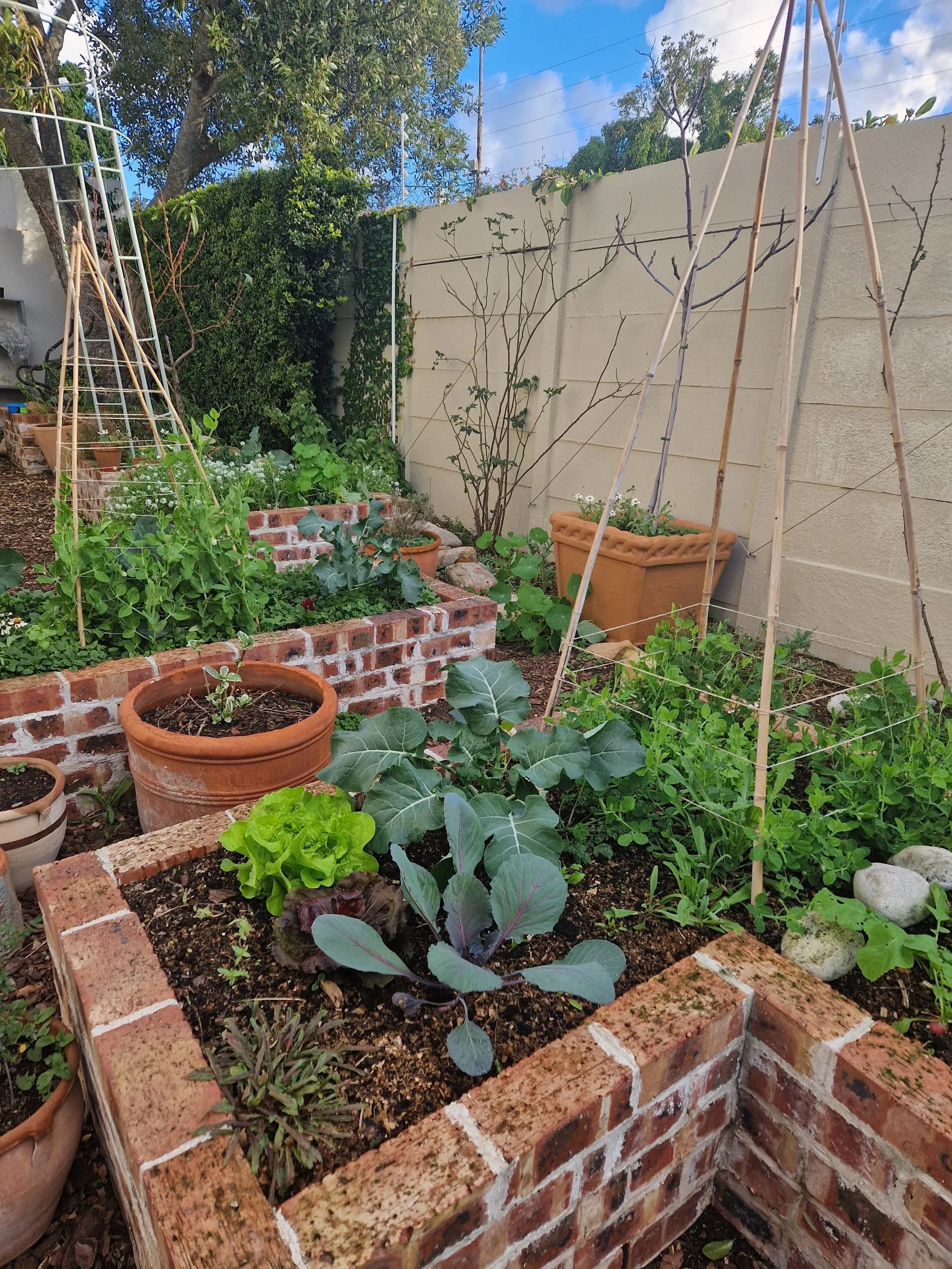 The Winter Blueprint: Rethinking Kitchen Garden Design This July