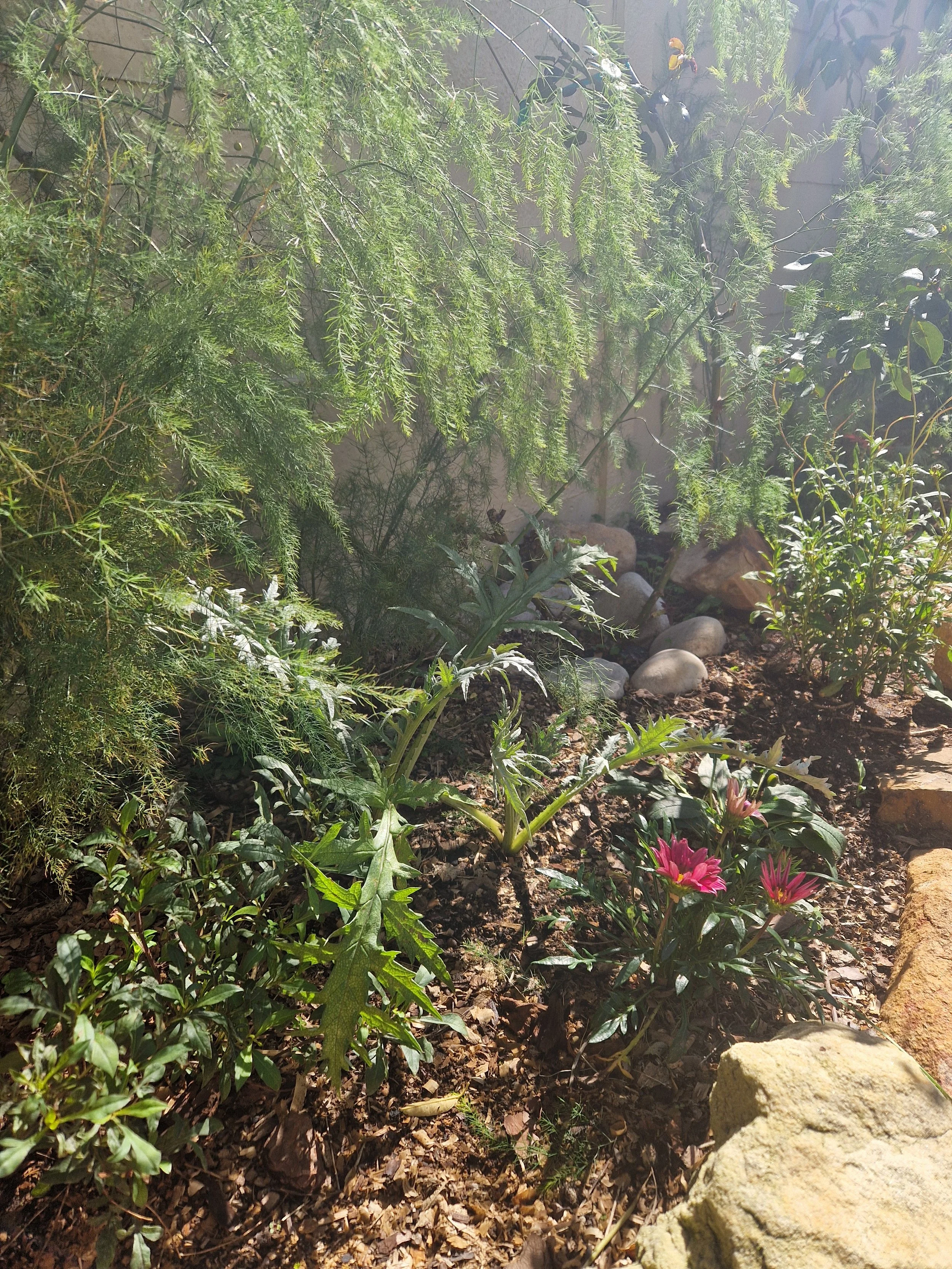 20260507_130446.jpg