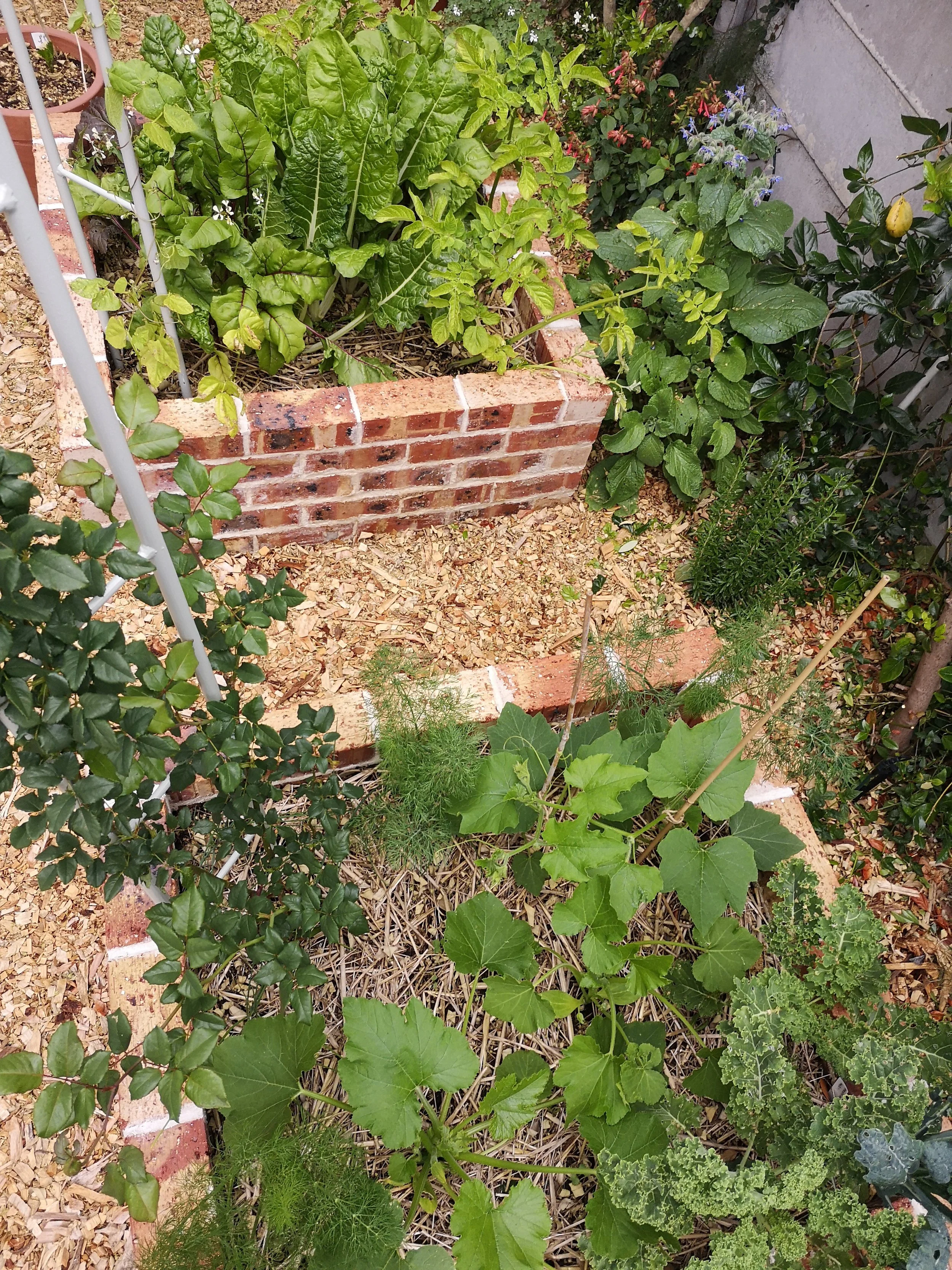 IMG_20201107_173123.jpg