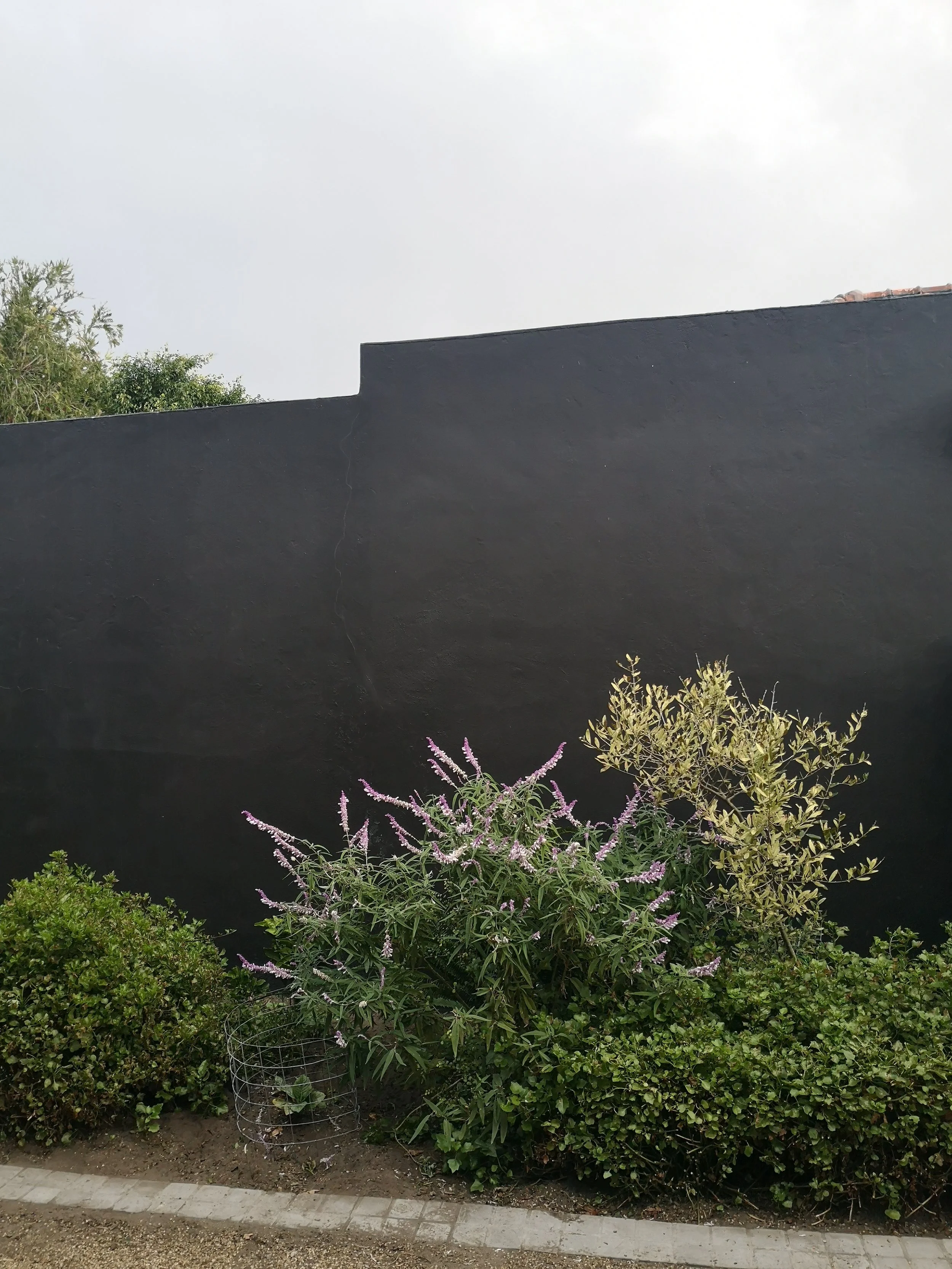 Feature wall - before