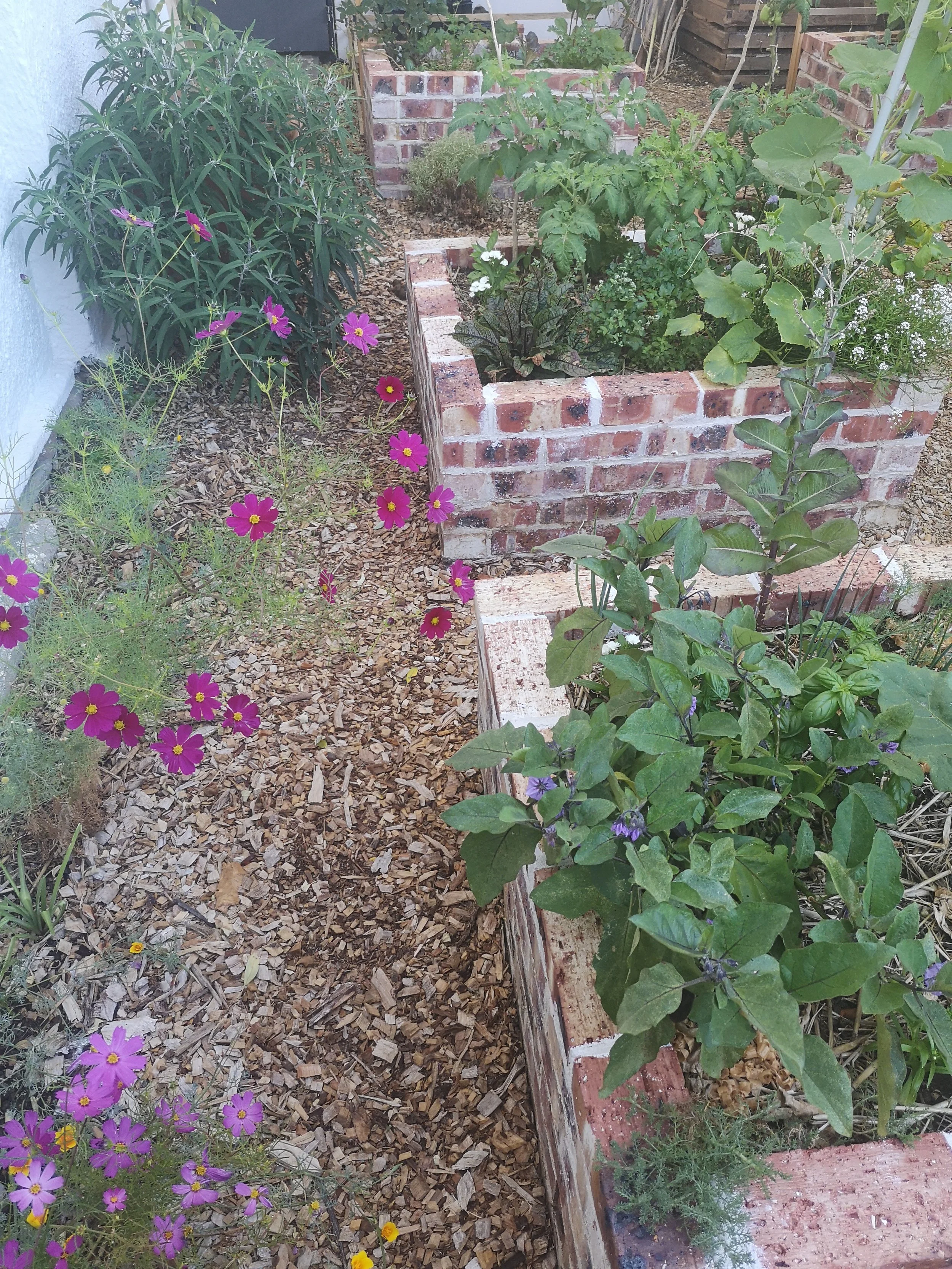IMG_20210122_081550.jpg