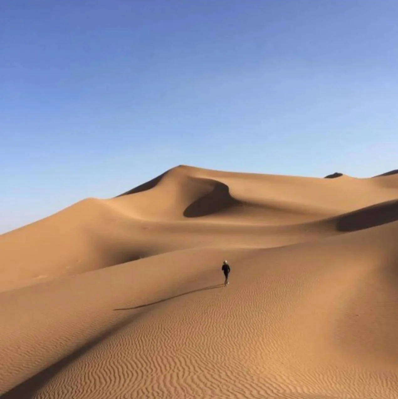 DESERT THERAPY — MAROC