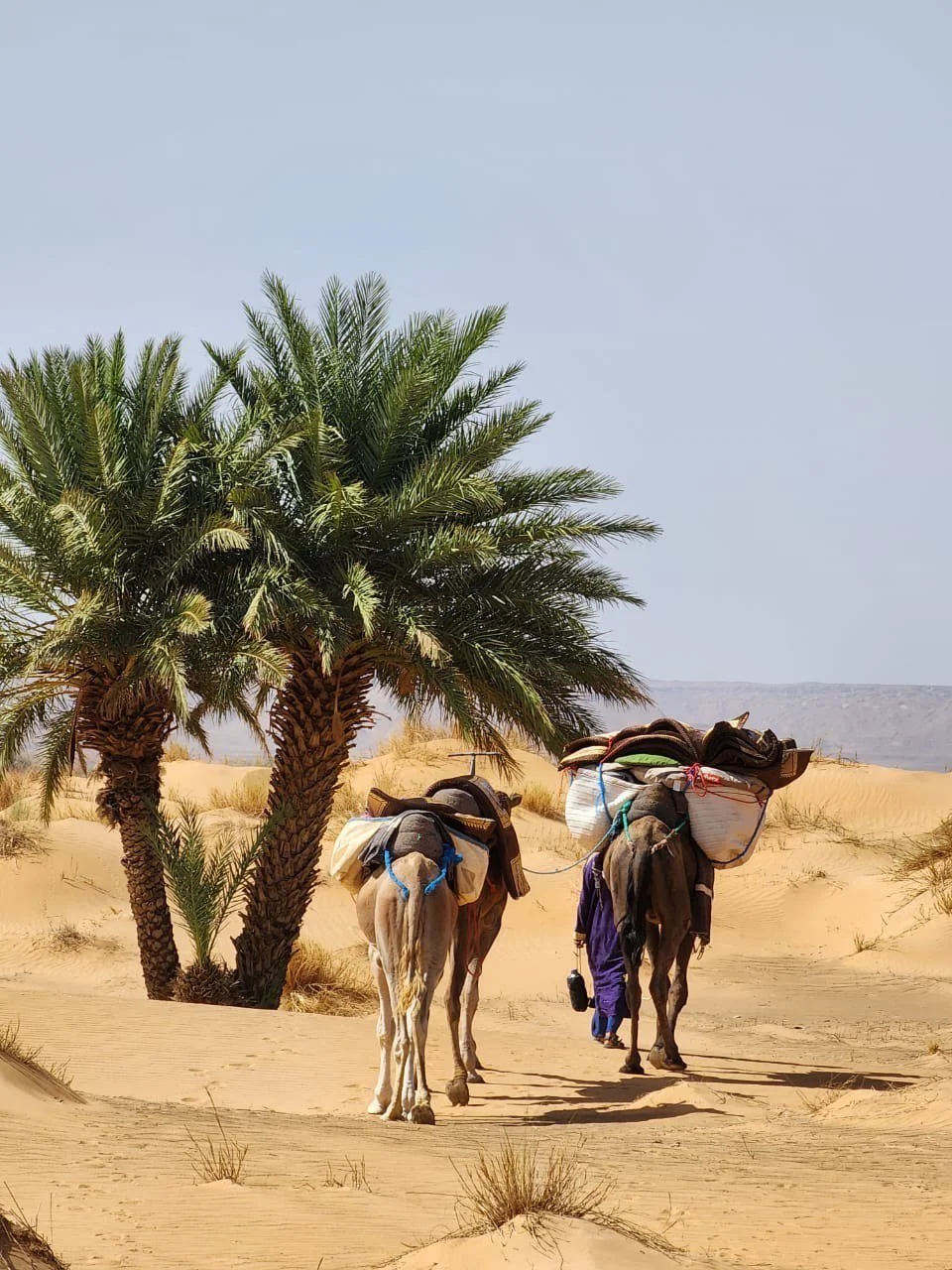 HUMAN TREK — MAROC