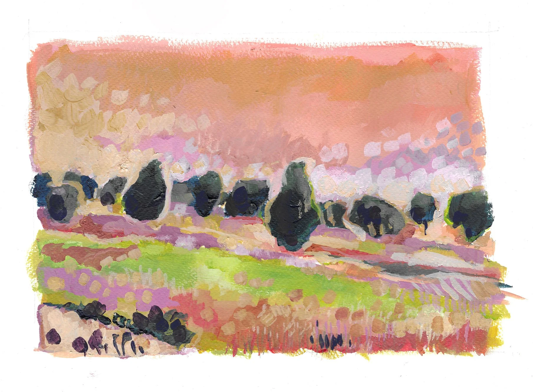 paysage 5.jpg