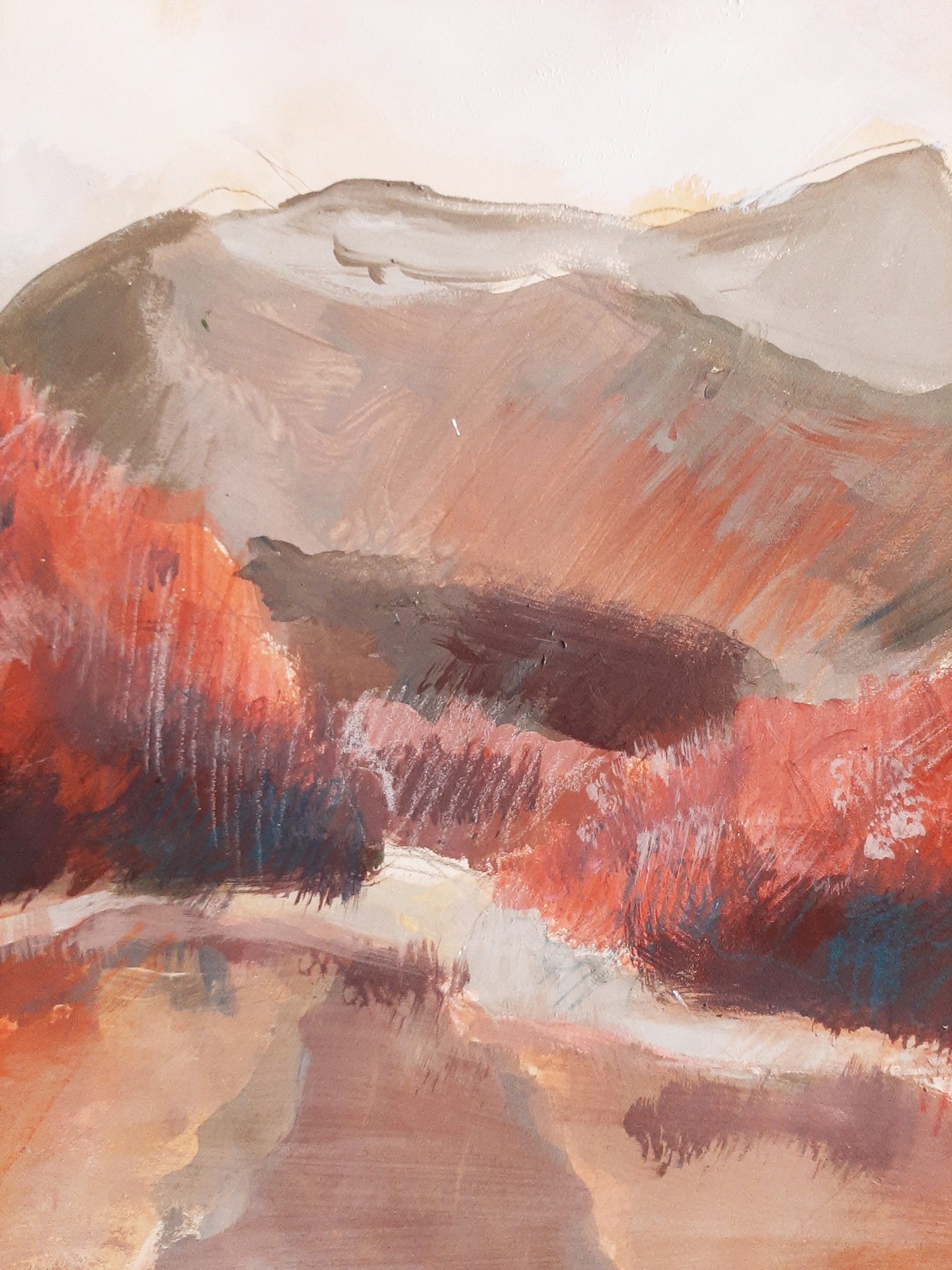 Landscape in the mountain