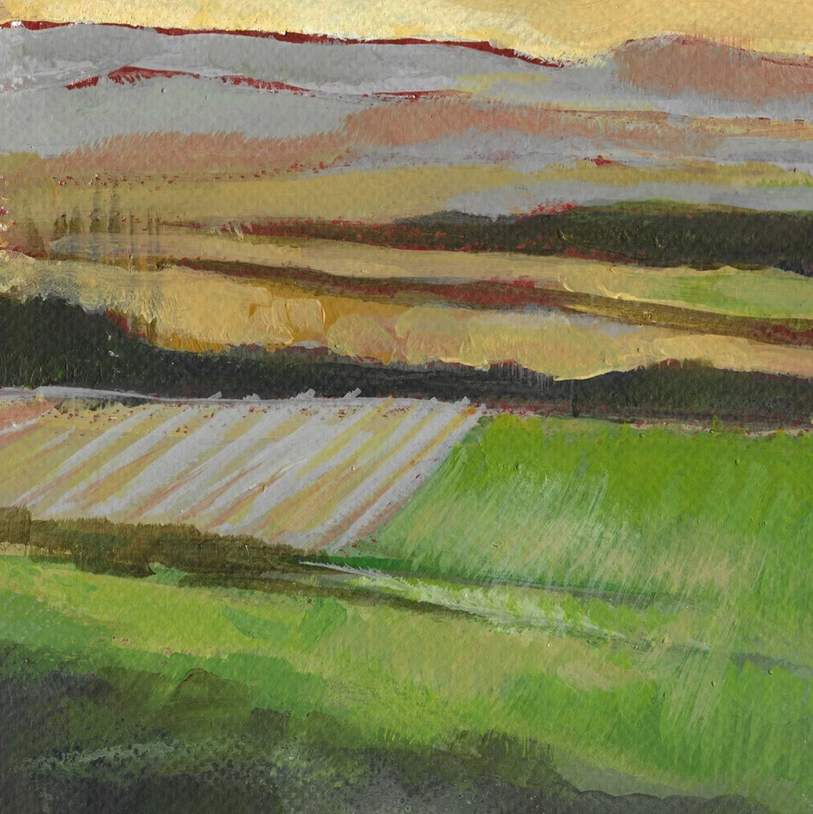 01 paysage 2026 COPY 3.jpg