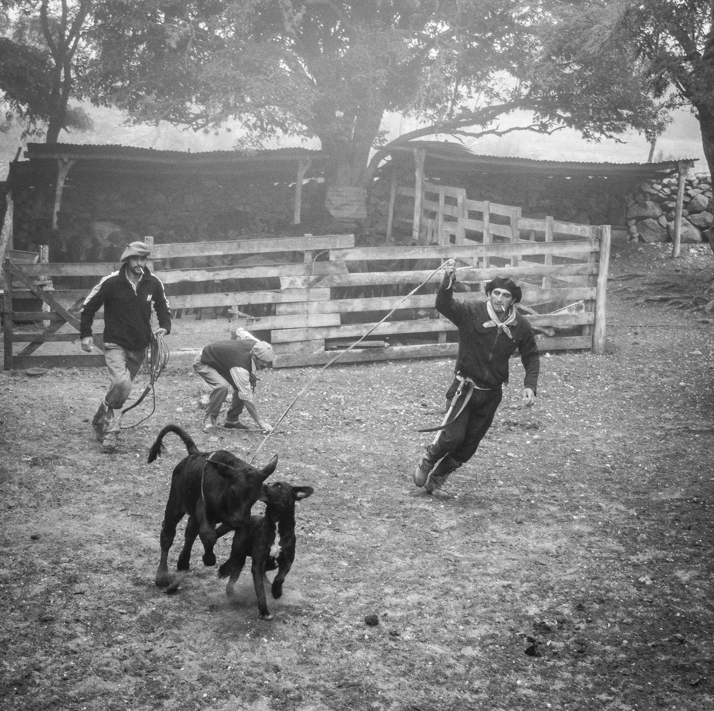 Black and white photo of children playing outside, with a wooden fence, trees, and a house with a corrugated metal roof in the background.