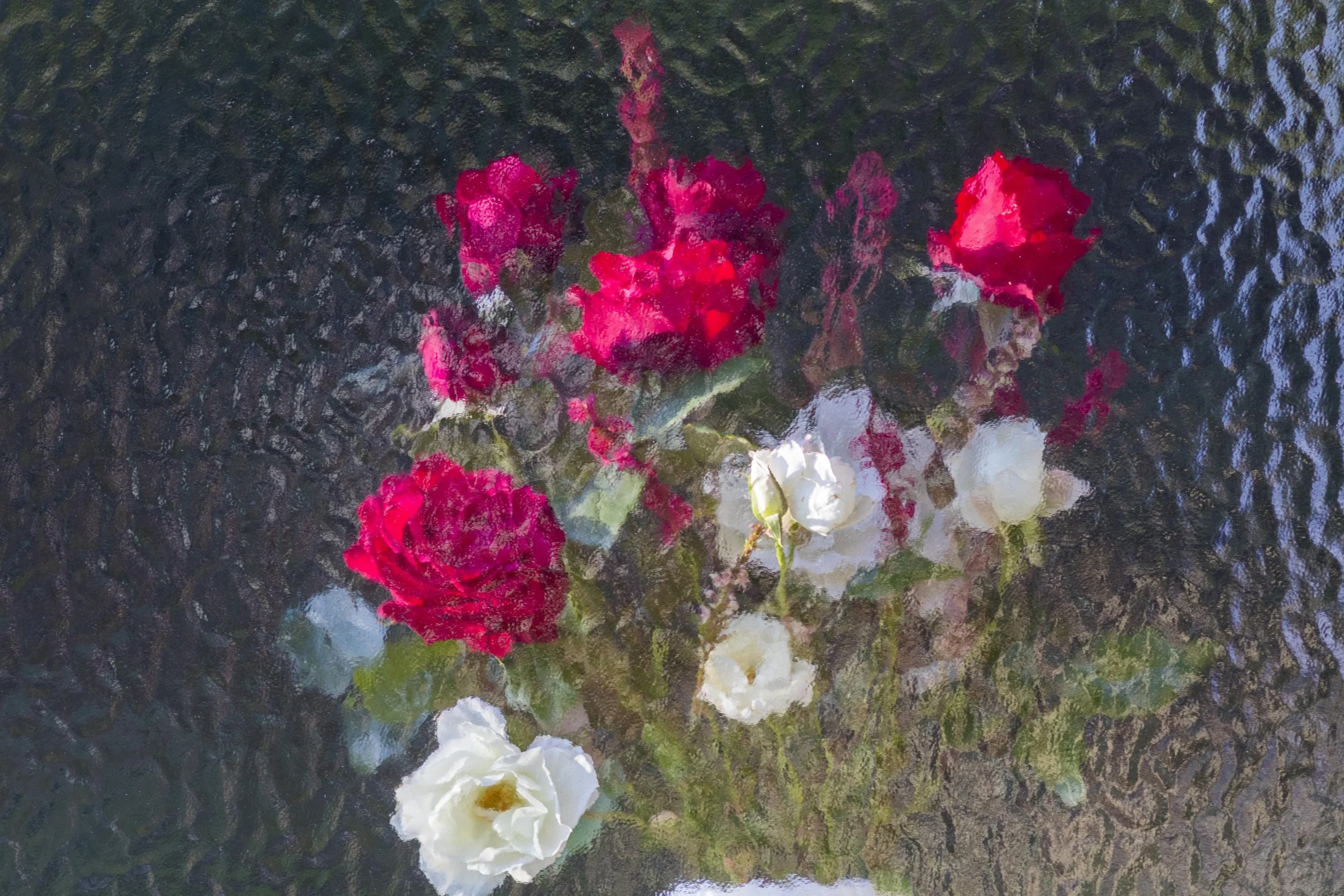 A painting of a bouquet of pink and white flowers on a reflective surface.