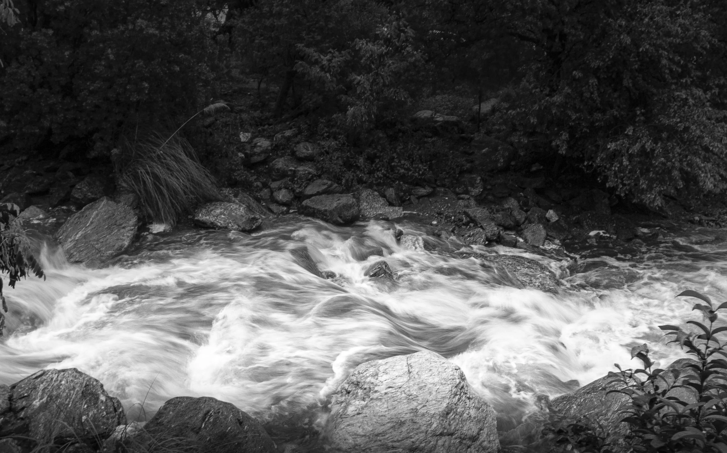 _MG_5570.jpg