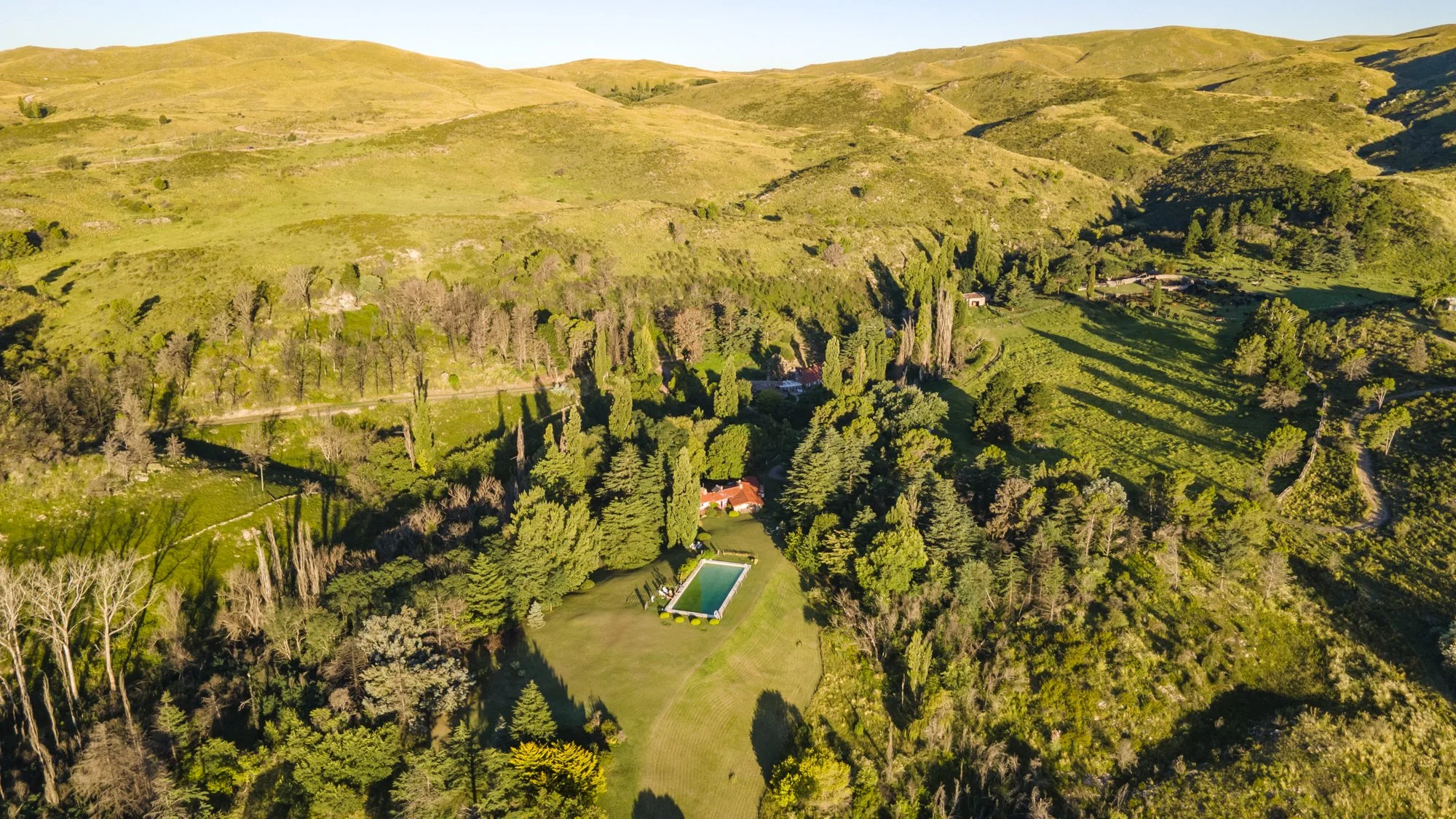 DJI_0377.jpg