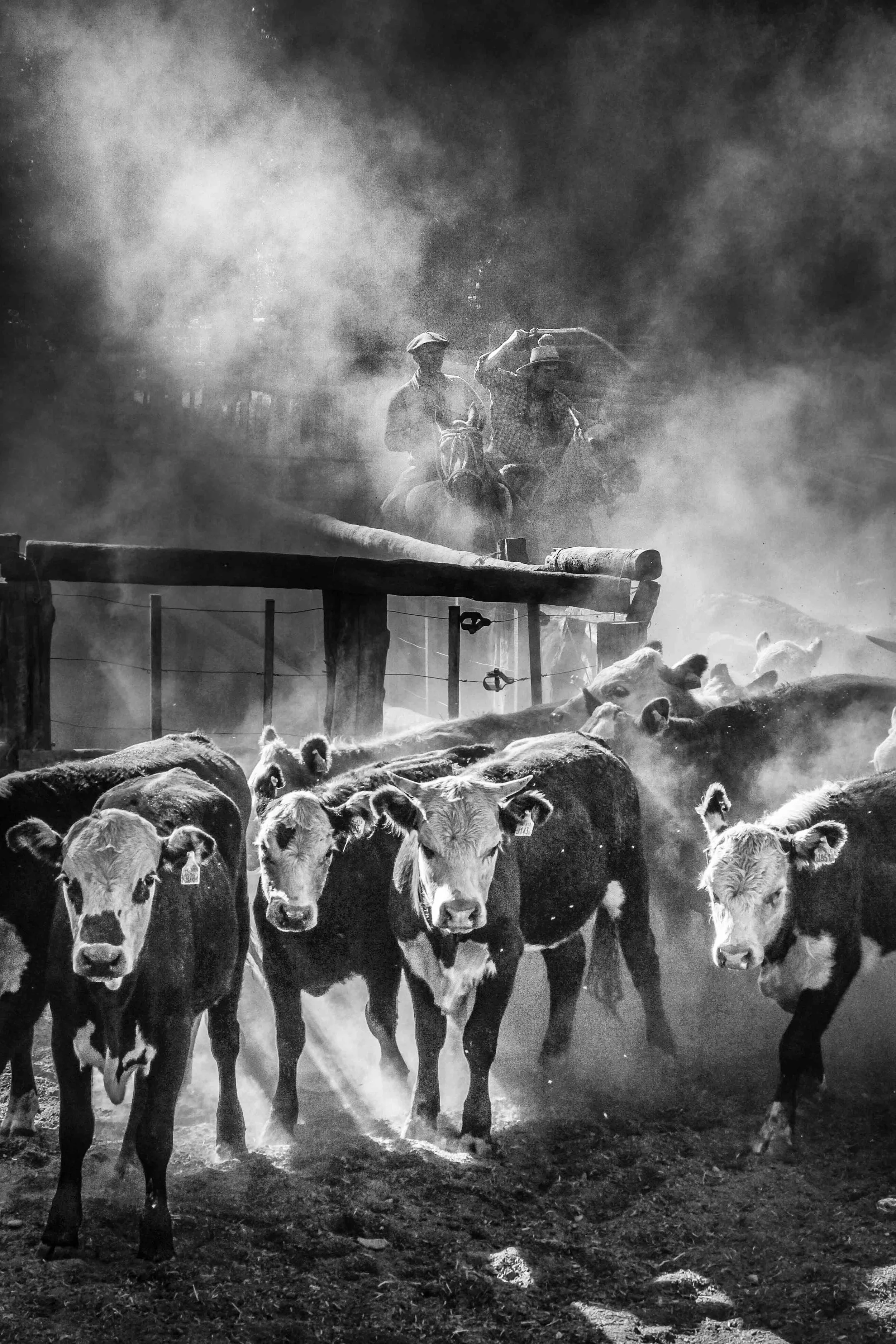 JF_2016_004_0233-Editar-2-Editar.jpg