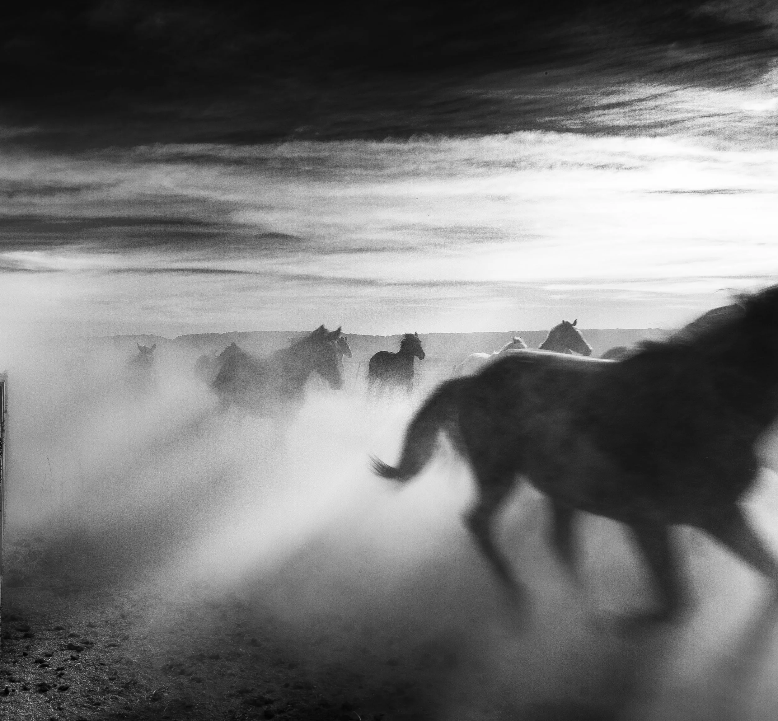 _MG_7788-Edit.jpg