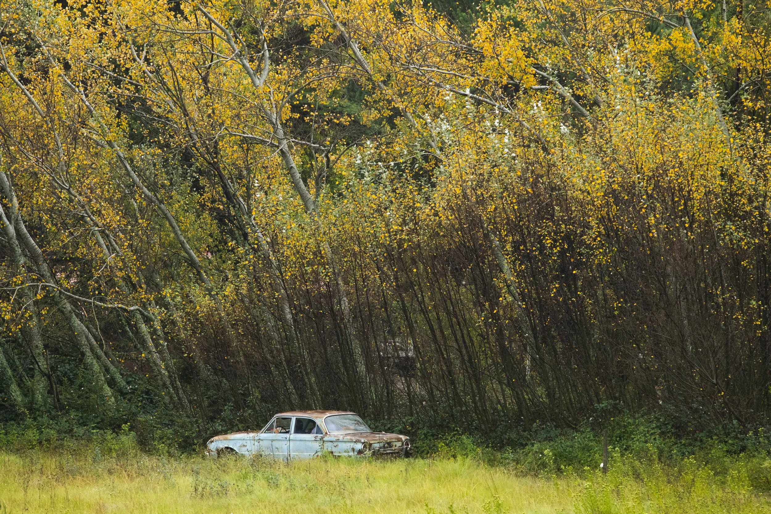 _MG_2707.jpg