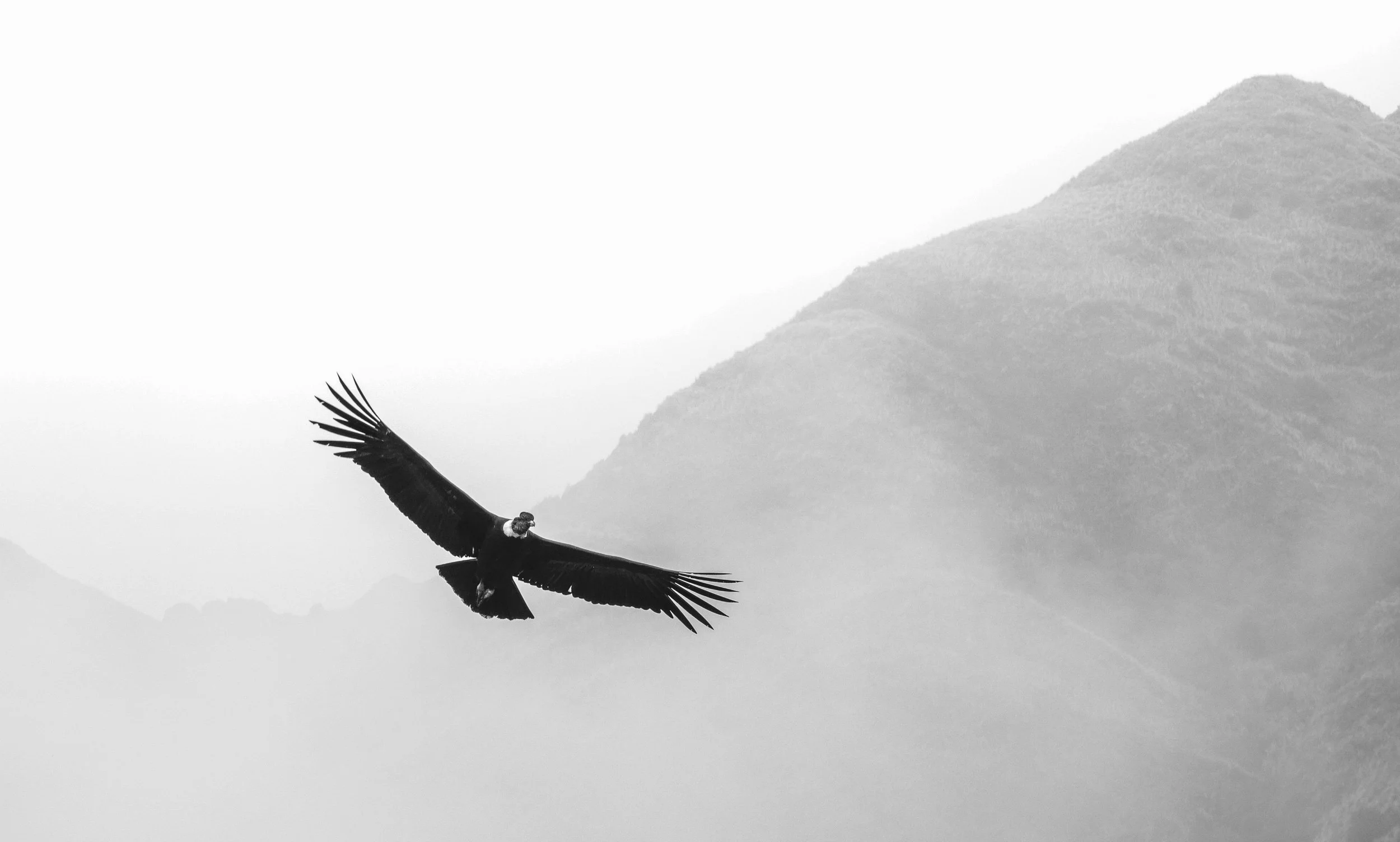 JF_2019_014_0185-Edit.jpg